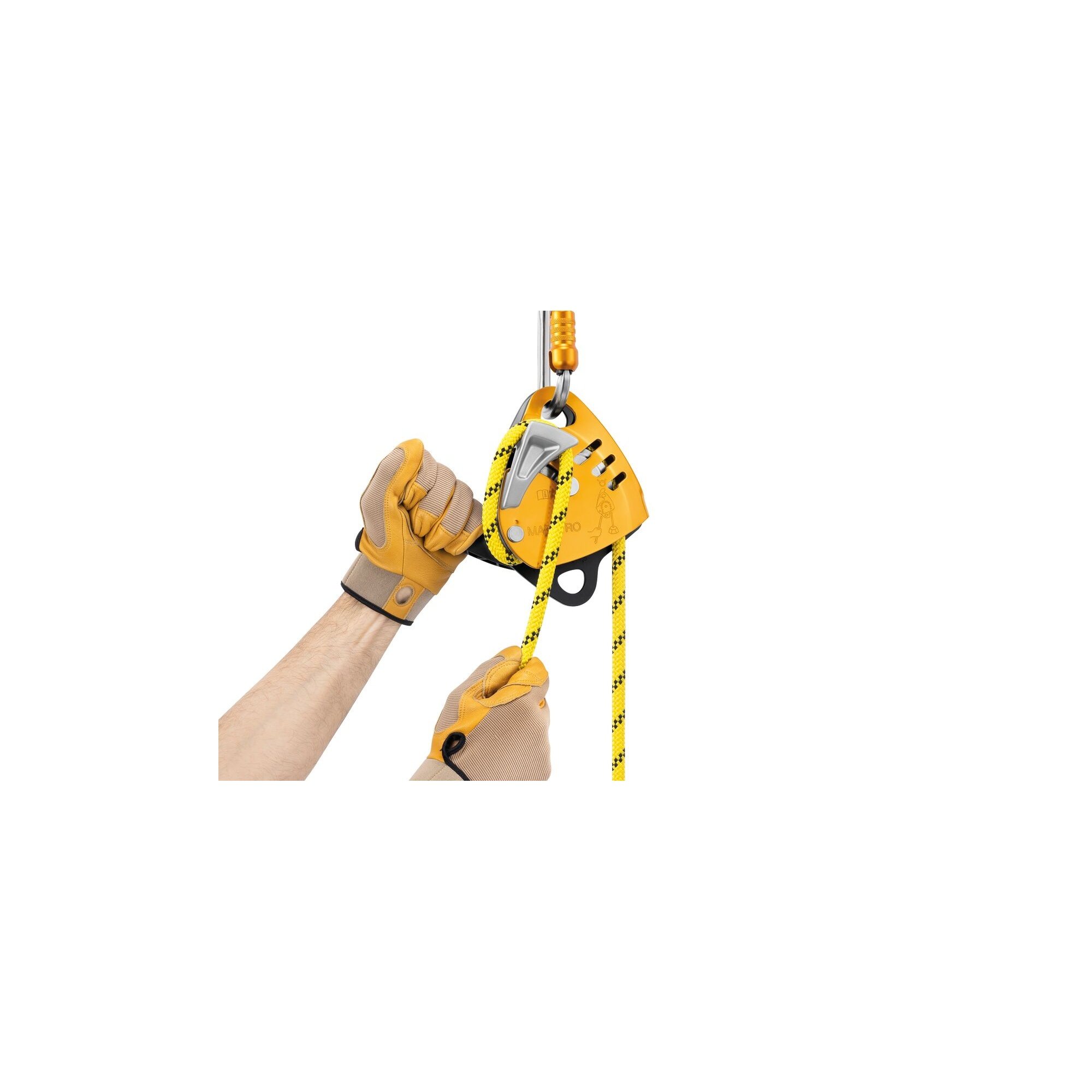 D024AB00-MAESTRO-S-focus-2_LowRes_padded.jpg