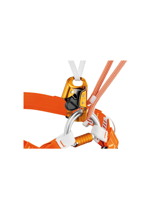 L002AB00-DUAL-CAVING 2.png