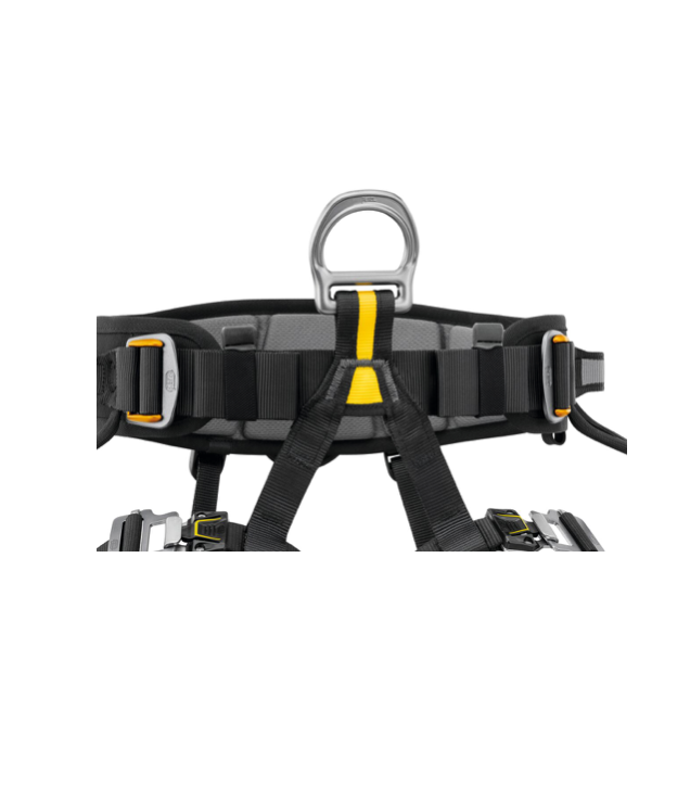 FALCON front.png