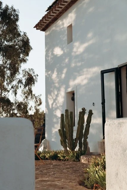 DSC07670 normaal.jpeg