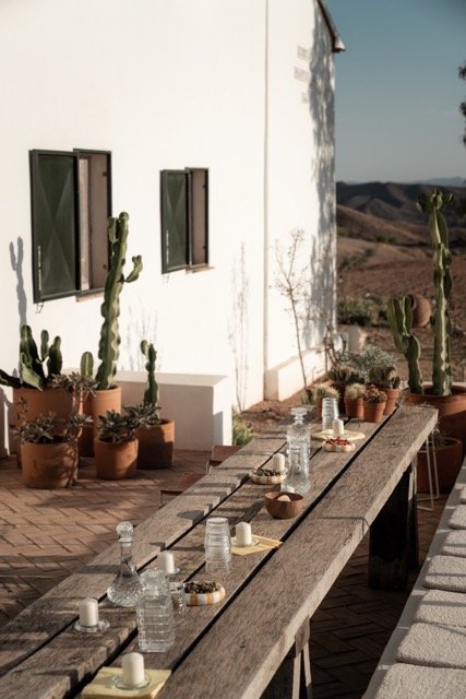 DSC07527 normaal.jpeg