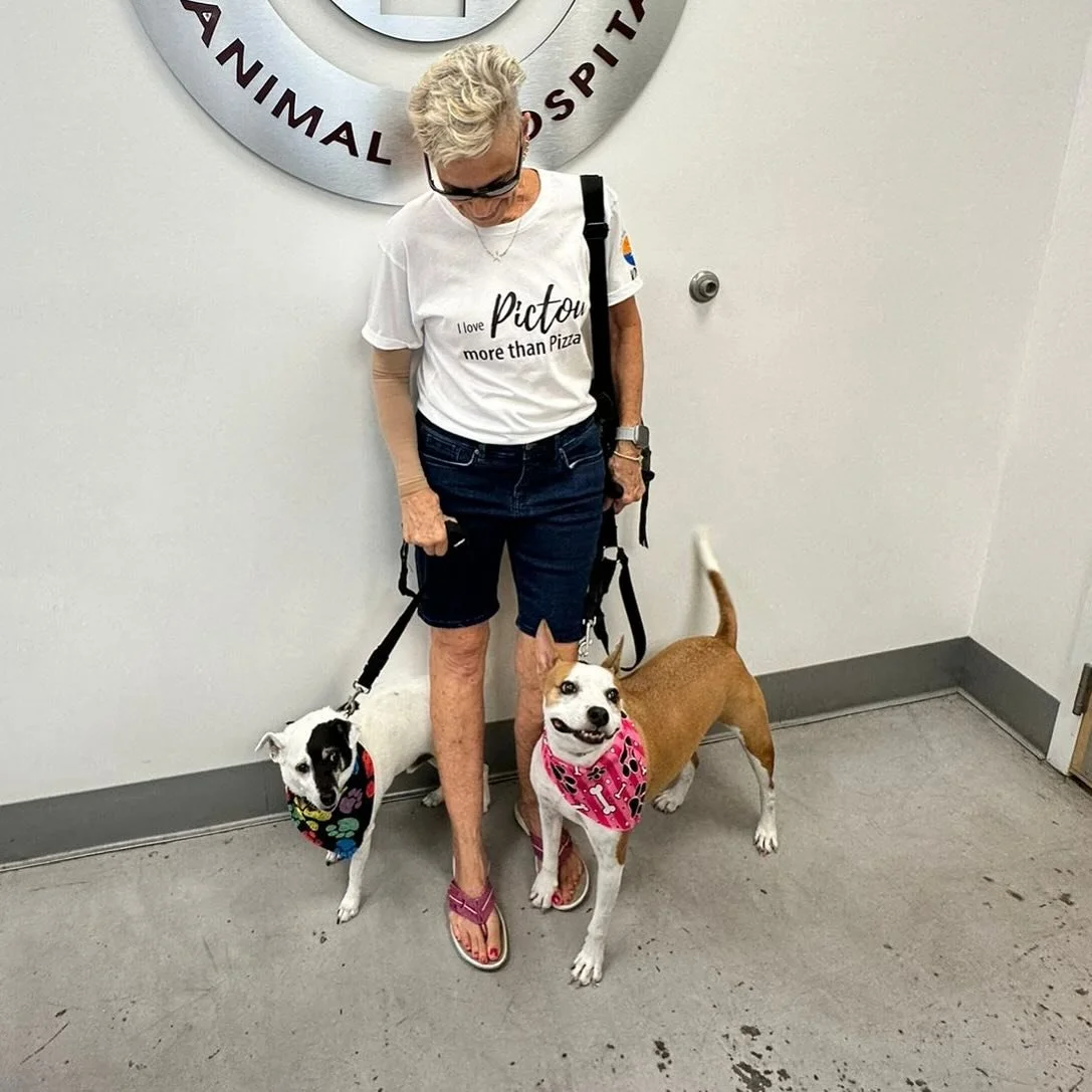 Pi and cayanne got their spa day 🧼 💦 🦴 🐾