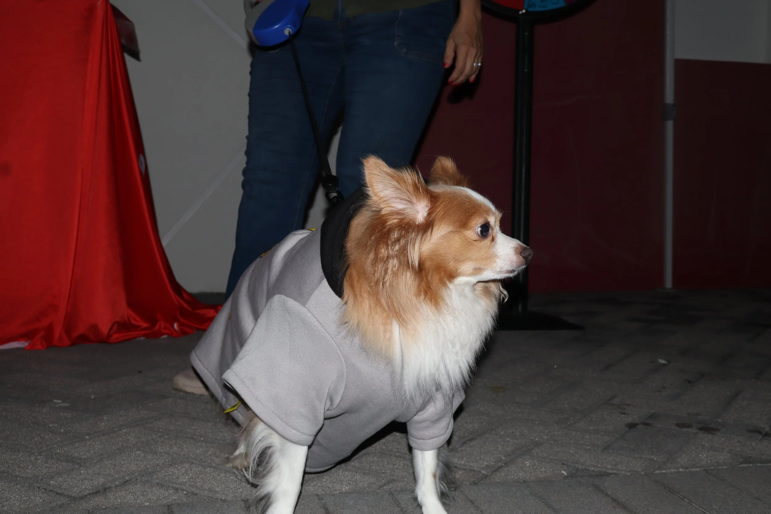 IMG_4413.JPG