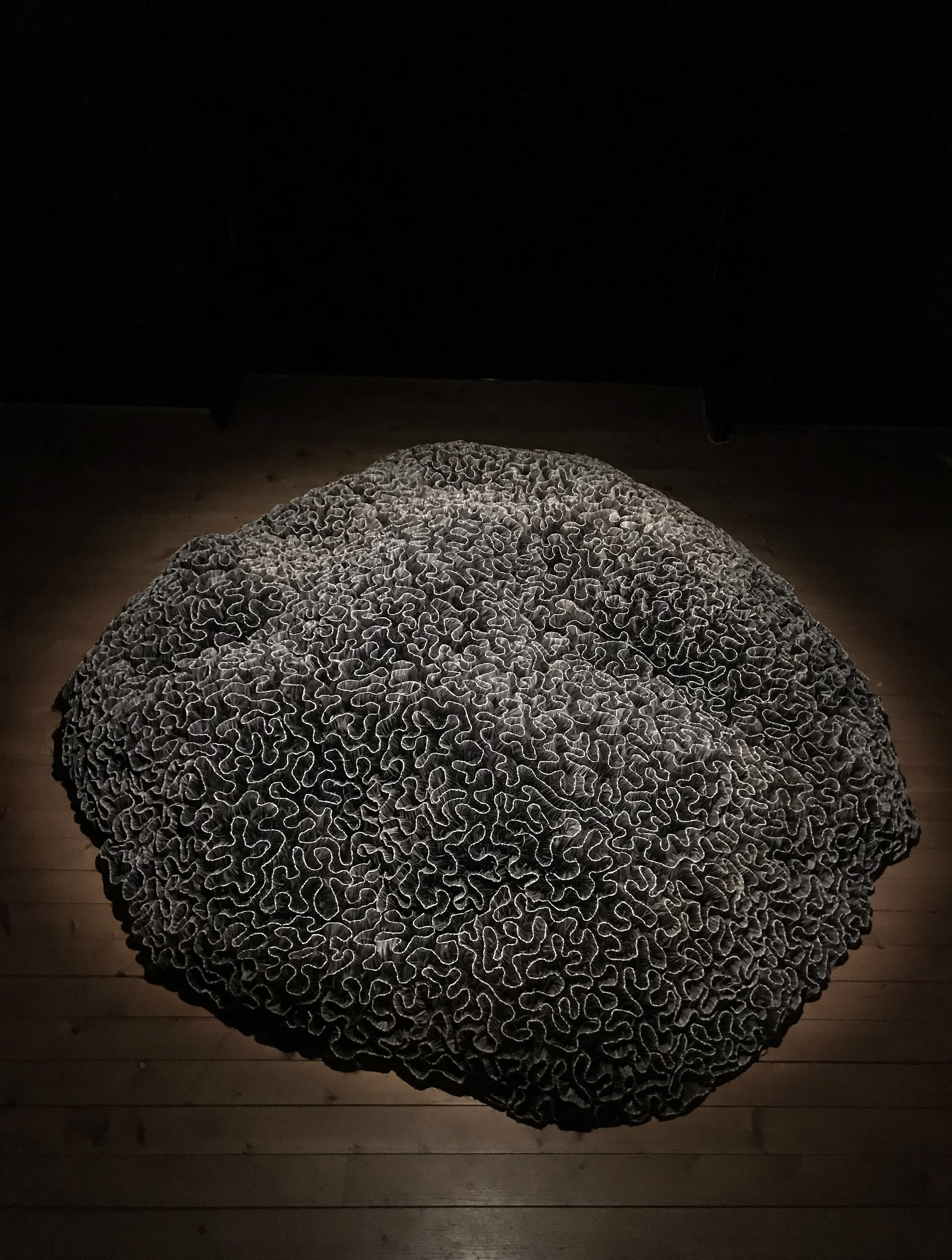 Résonance, 2020-21 feather sculpture by Carole Solvay from the Cnidarians series