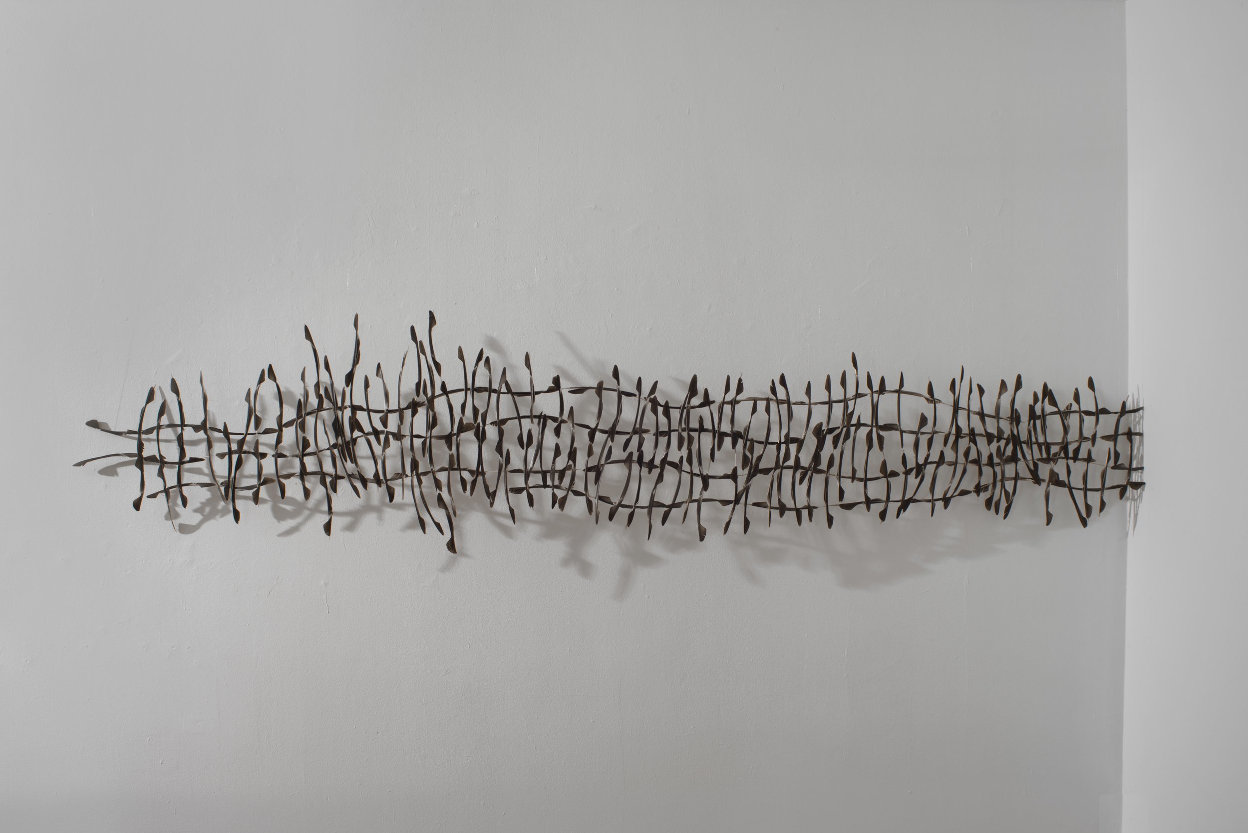 2012 - 65x295x20cm - feathers