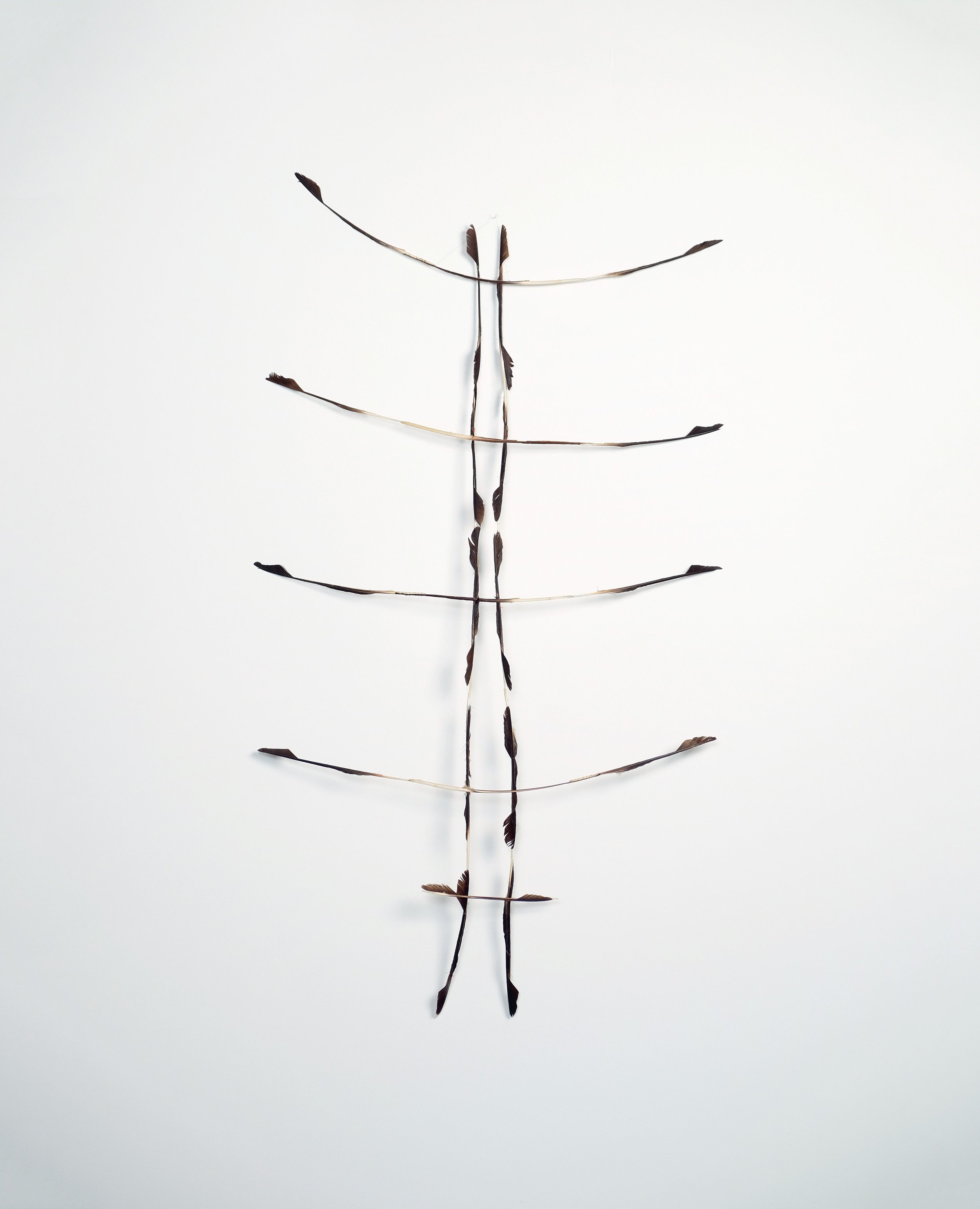 2004 - 122x72x5cm - feathers