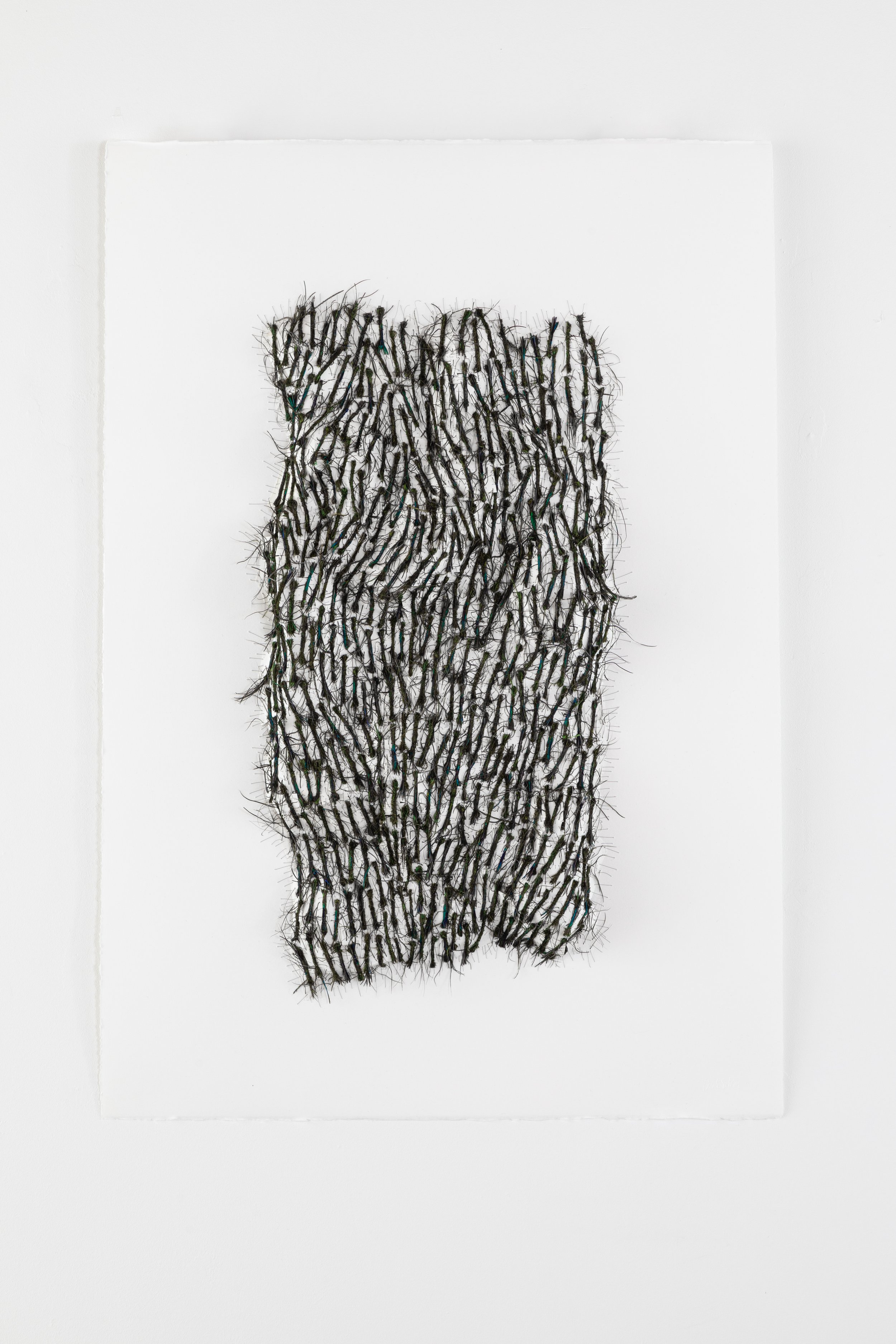 2023 - 61x92x8cm - feathers and paper