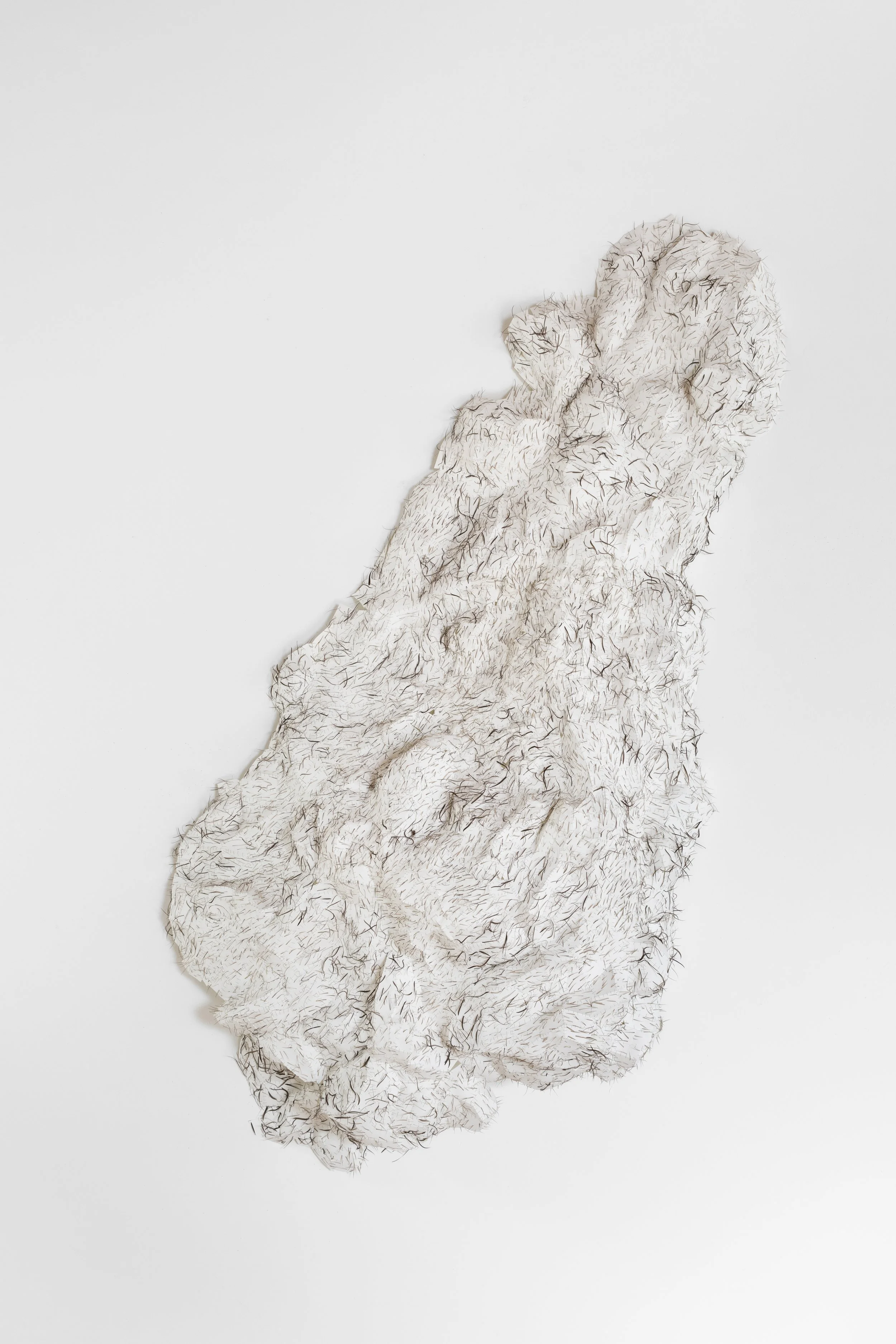 Mues, 2023-2024. Feathers and paper. 97 x 177 x 33 cm