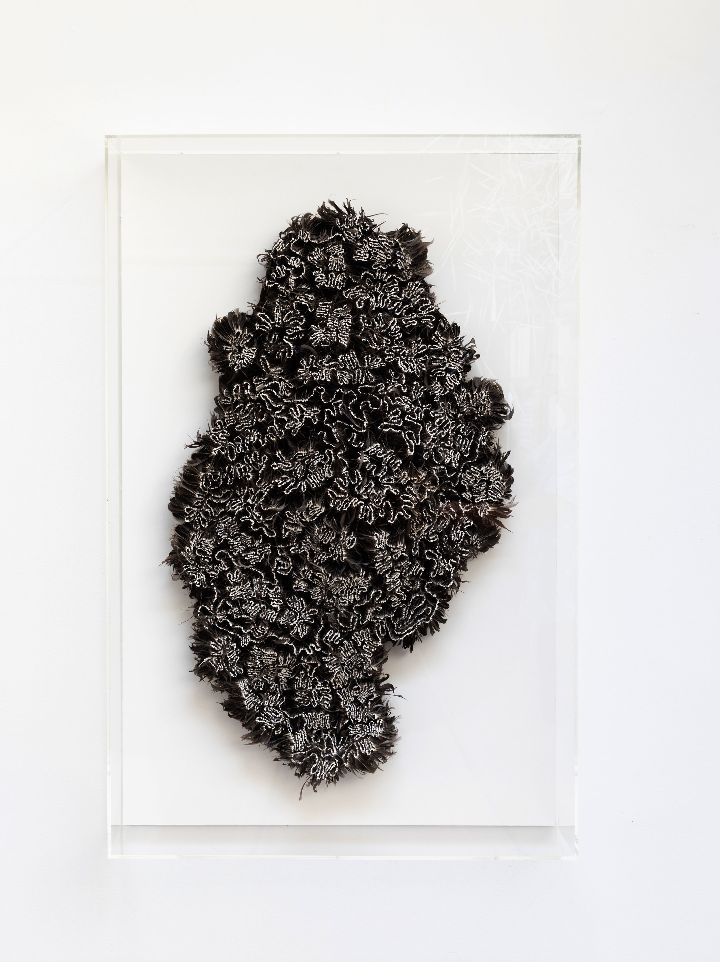 Madrépores, 2023. Feathers. 86 x 52 x 7 cm