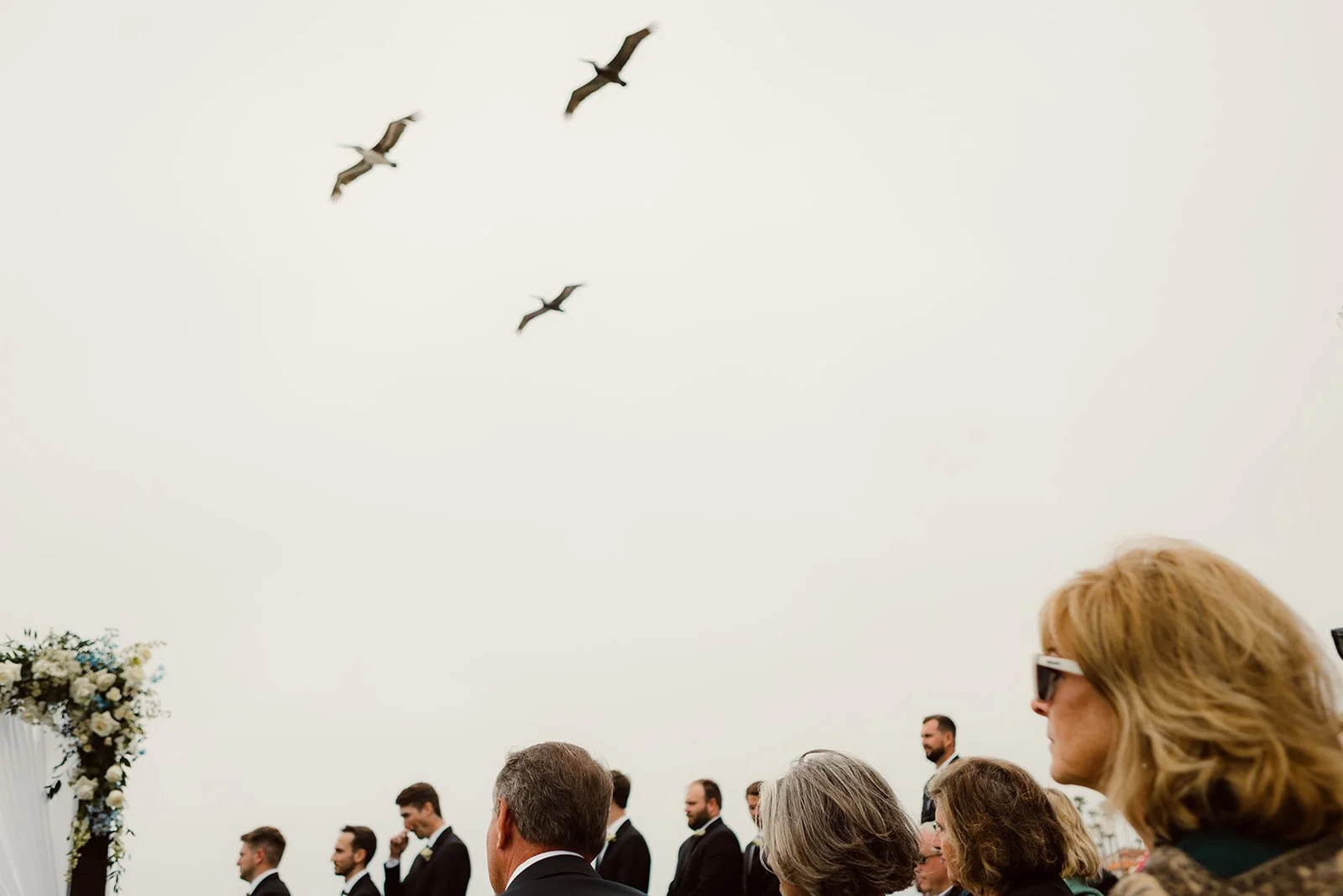 Birds fly over wedding guests in La Jolla.