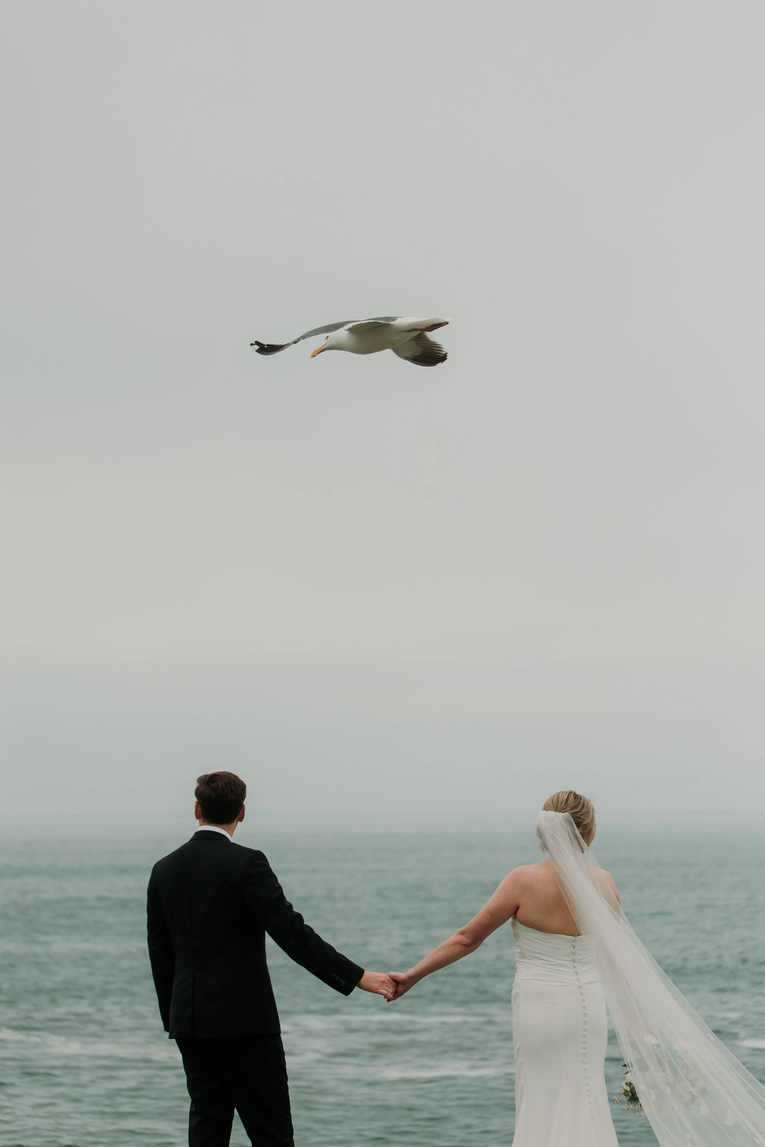 Candid photos of a wedding at The Wedding Bowl and Cuvier Club in La Jolla. San Diego wedding photography by Indigo West Photography.
