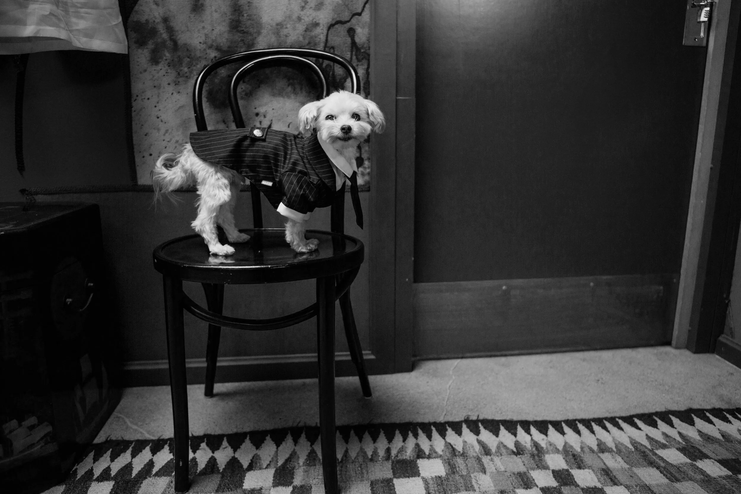 Downtown Los Angeles Arts District Wedding