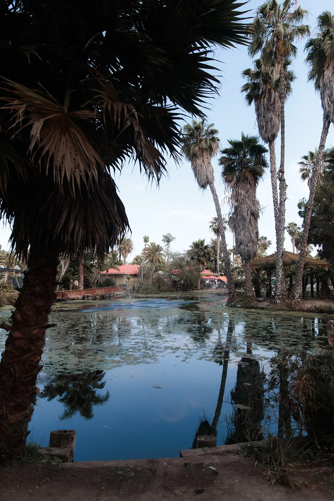 San Diego Wedding Venue Guide