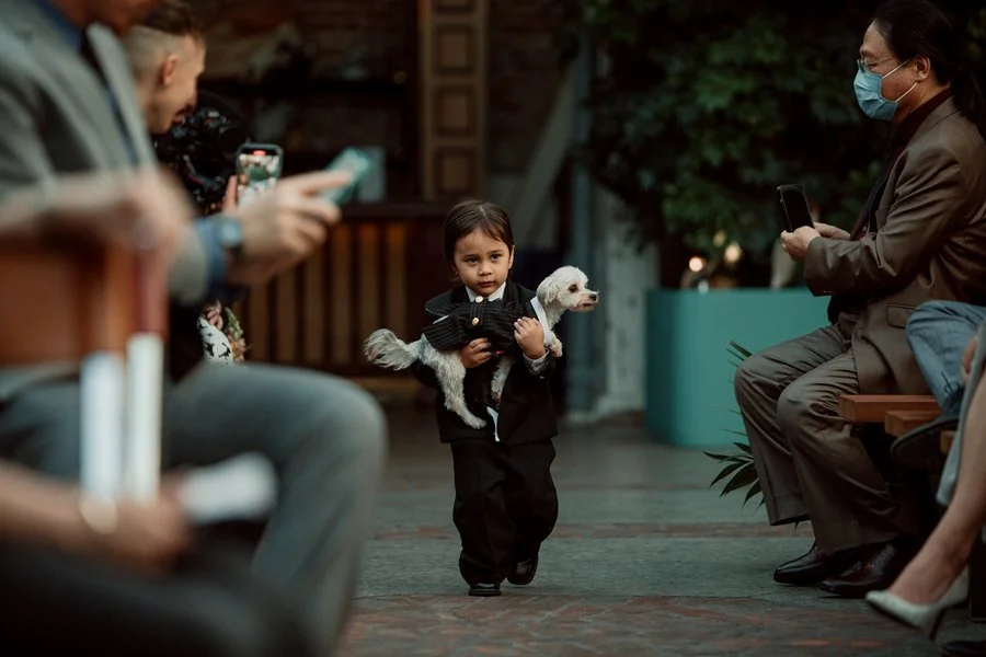 Ring bearer walks isle for a wedding at Millwick in Los Angeles