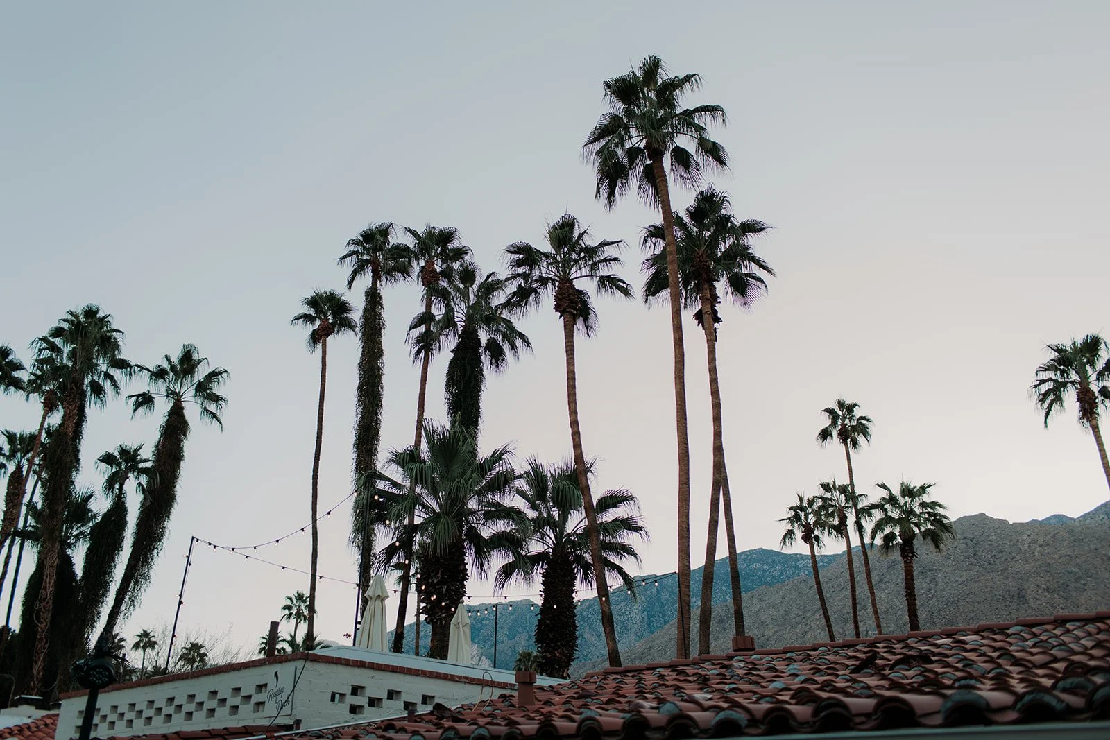 villa-royale-wedding-palm-springs-29