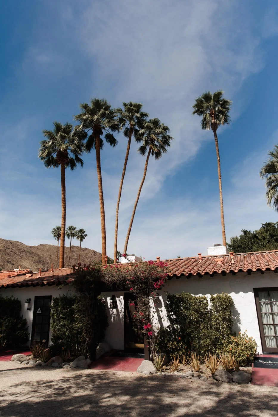 PalmSprings-6.jpg