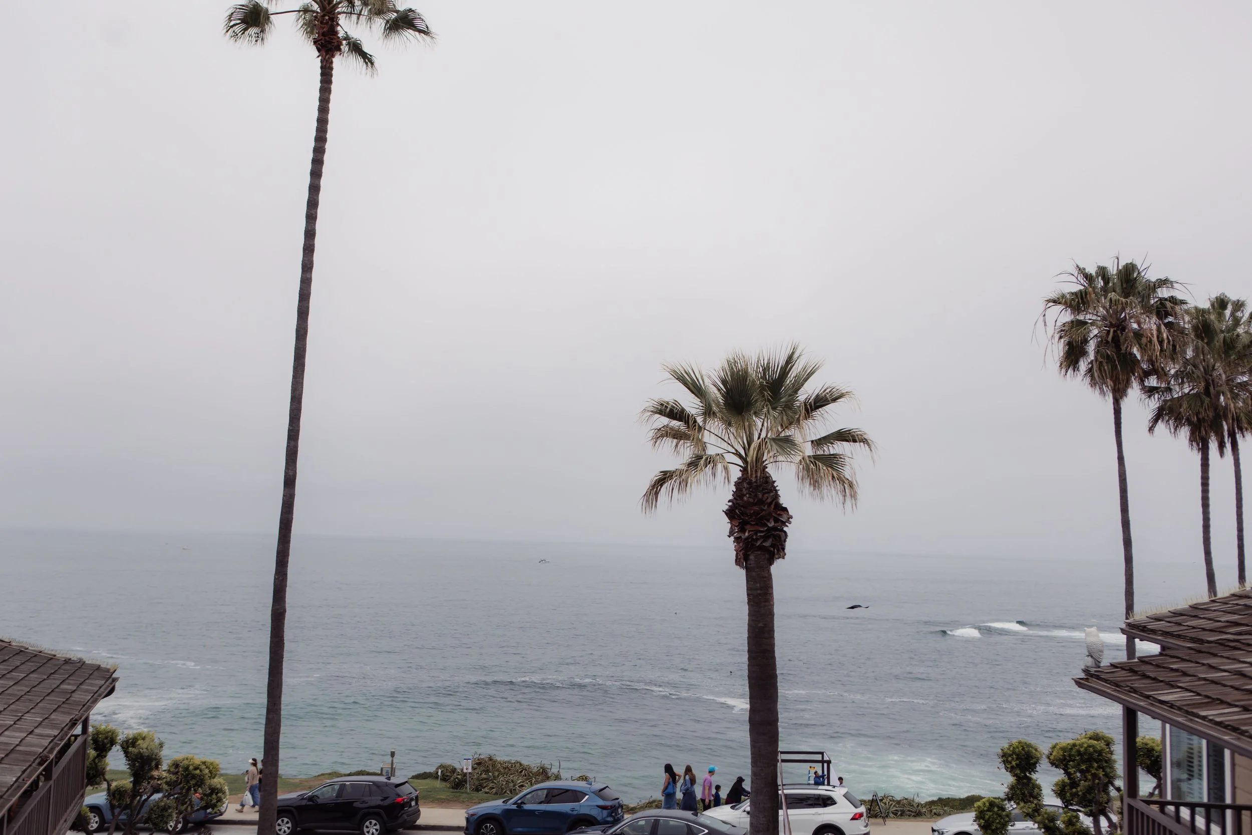 Candid photos of a wedding at The Wedding Bowl and Cuvier Club in La Jolla.