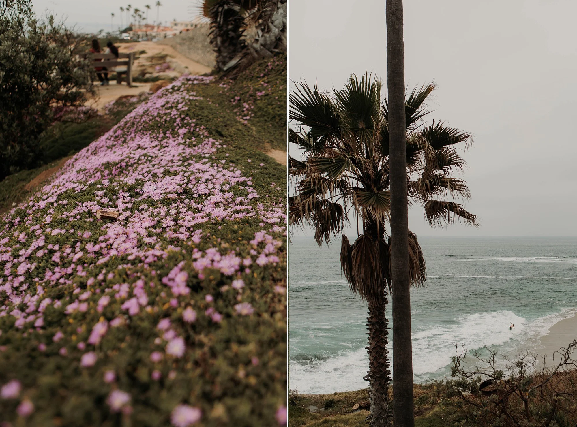 Candid photos of a wedding at The Wedding Bowl and Cuvier Club in La Jolla. San Diego wedding photography by Indigo West Photography.