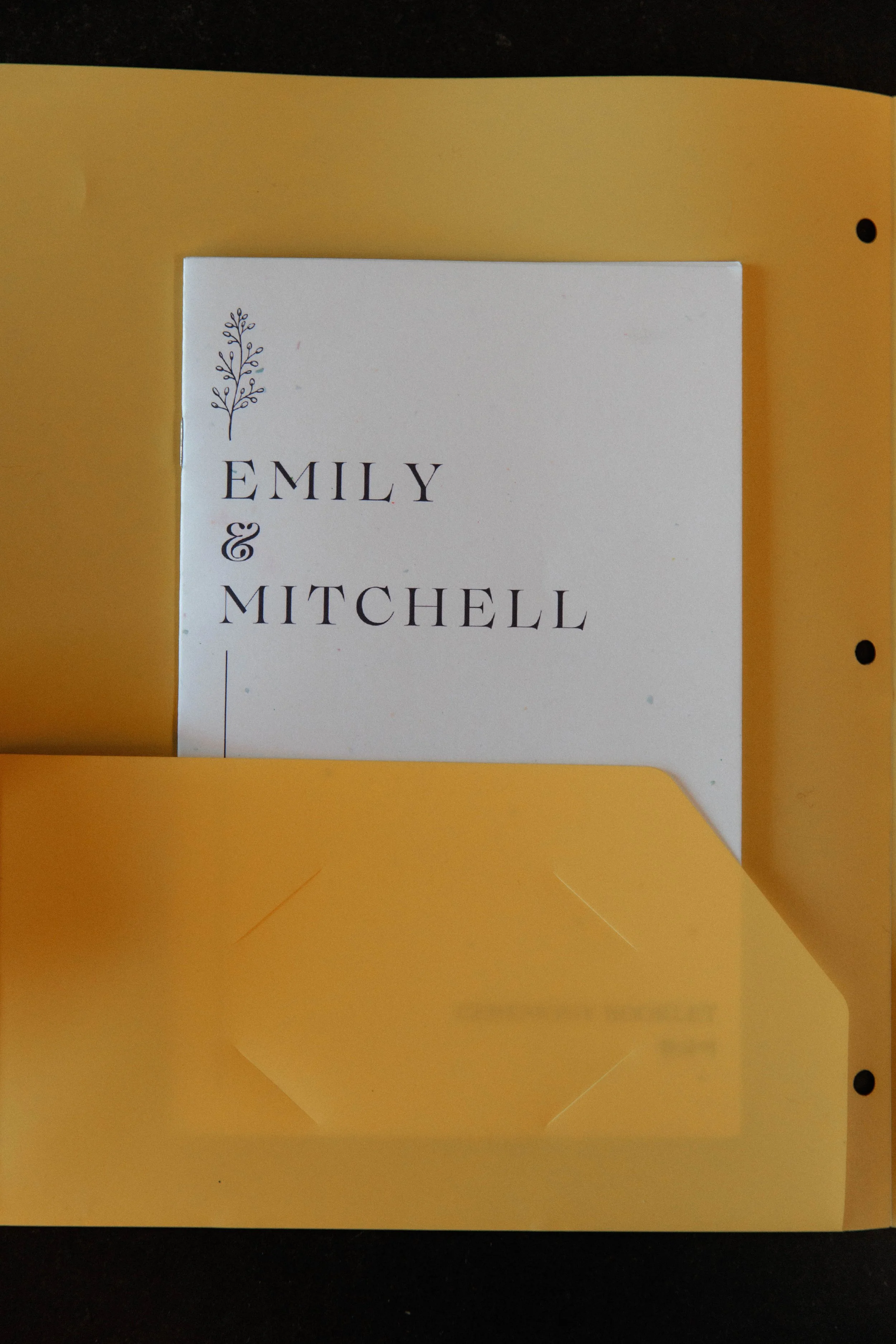 EmilyMitchell-10.jpg
