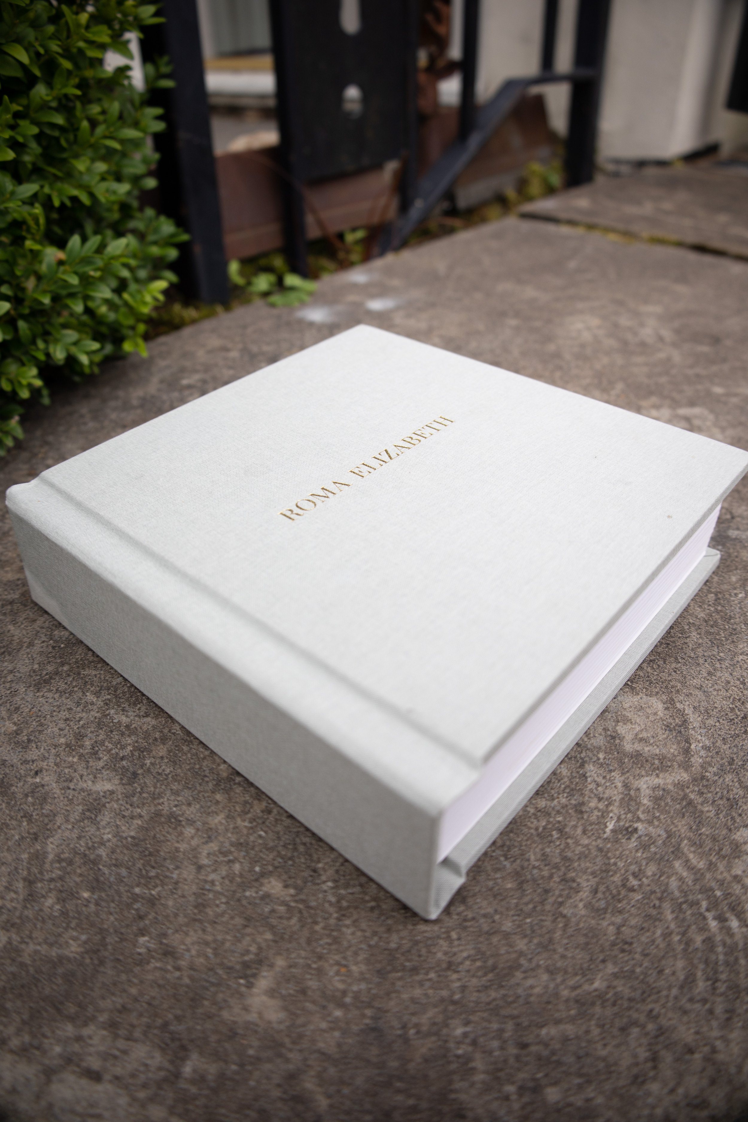 Wedding Album-2.jpg