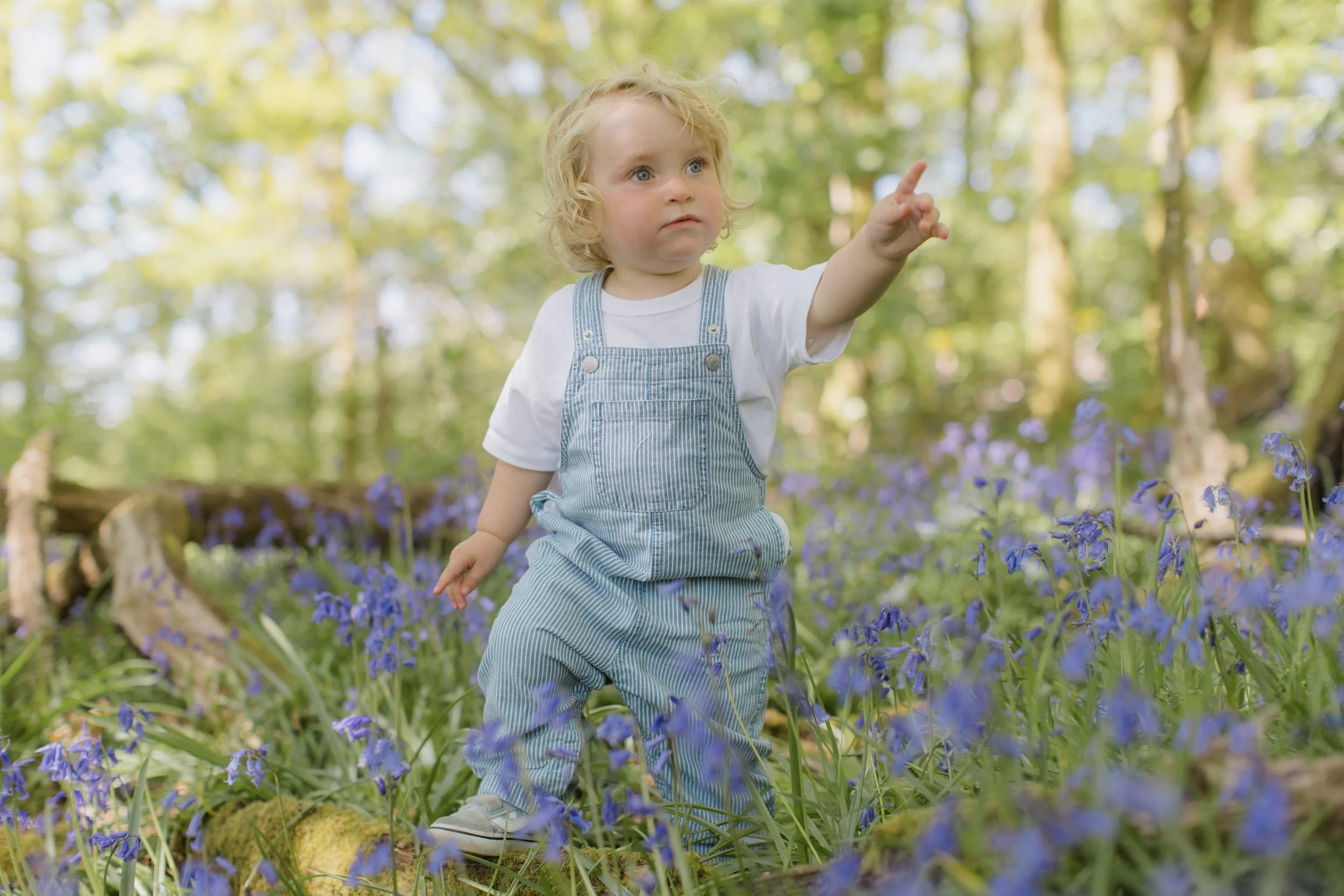 Robyn and Harris Bluebell photoshoot 2025-17.jpg