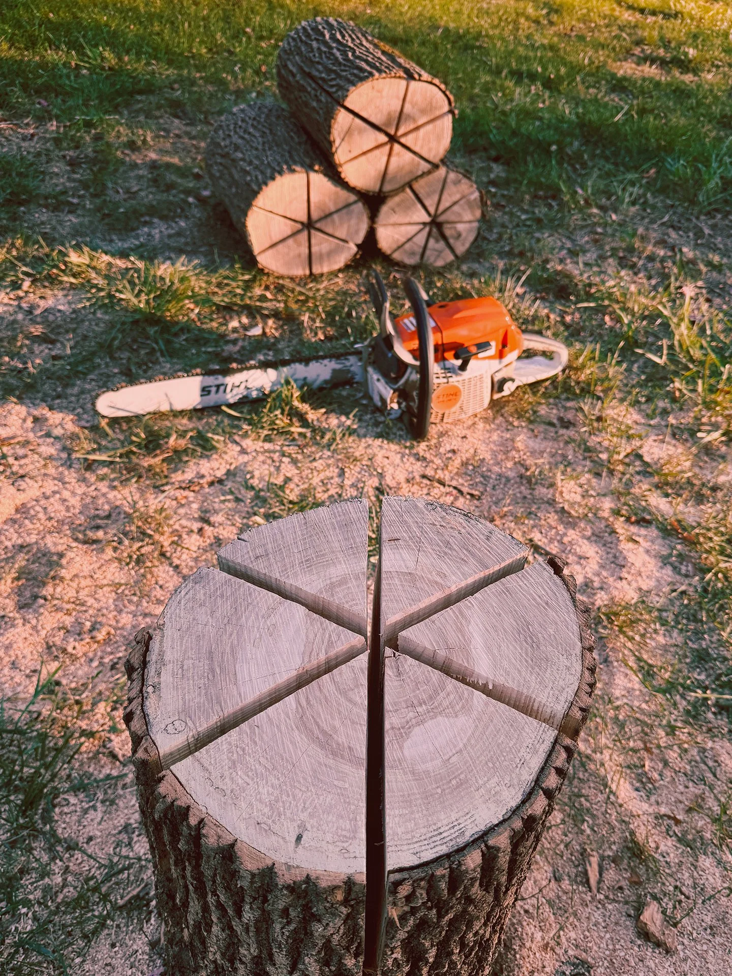 IMG_3532-cut-torches.jpg