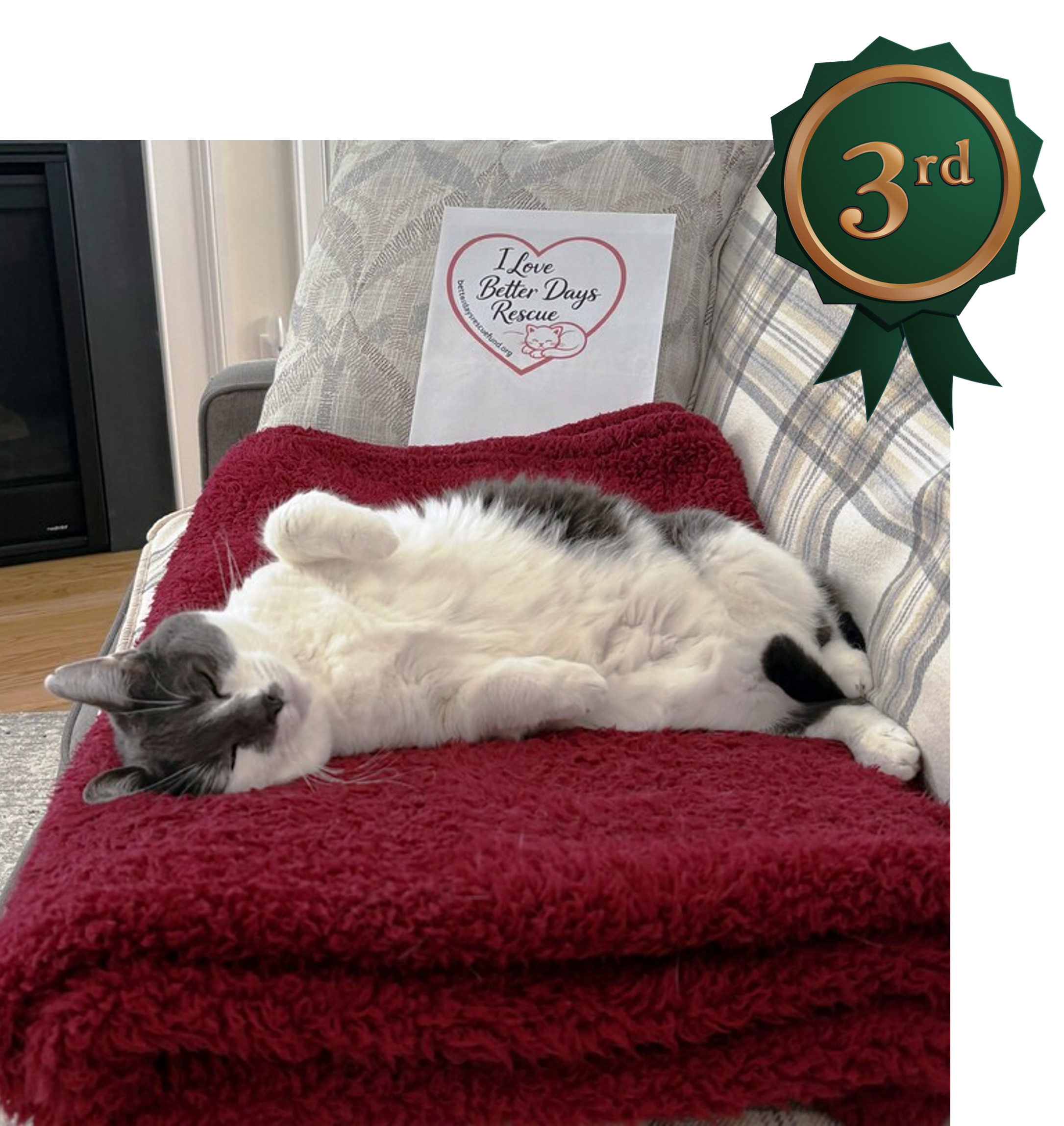 Sophie won 3rd place in the contest