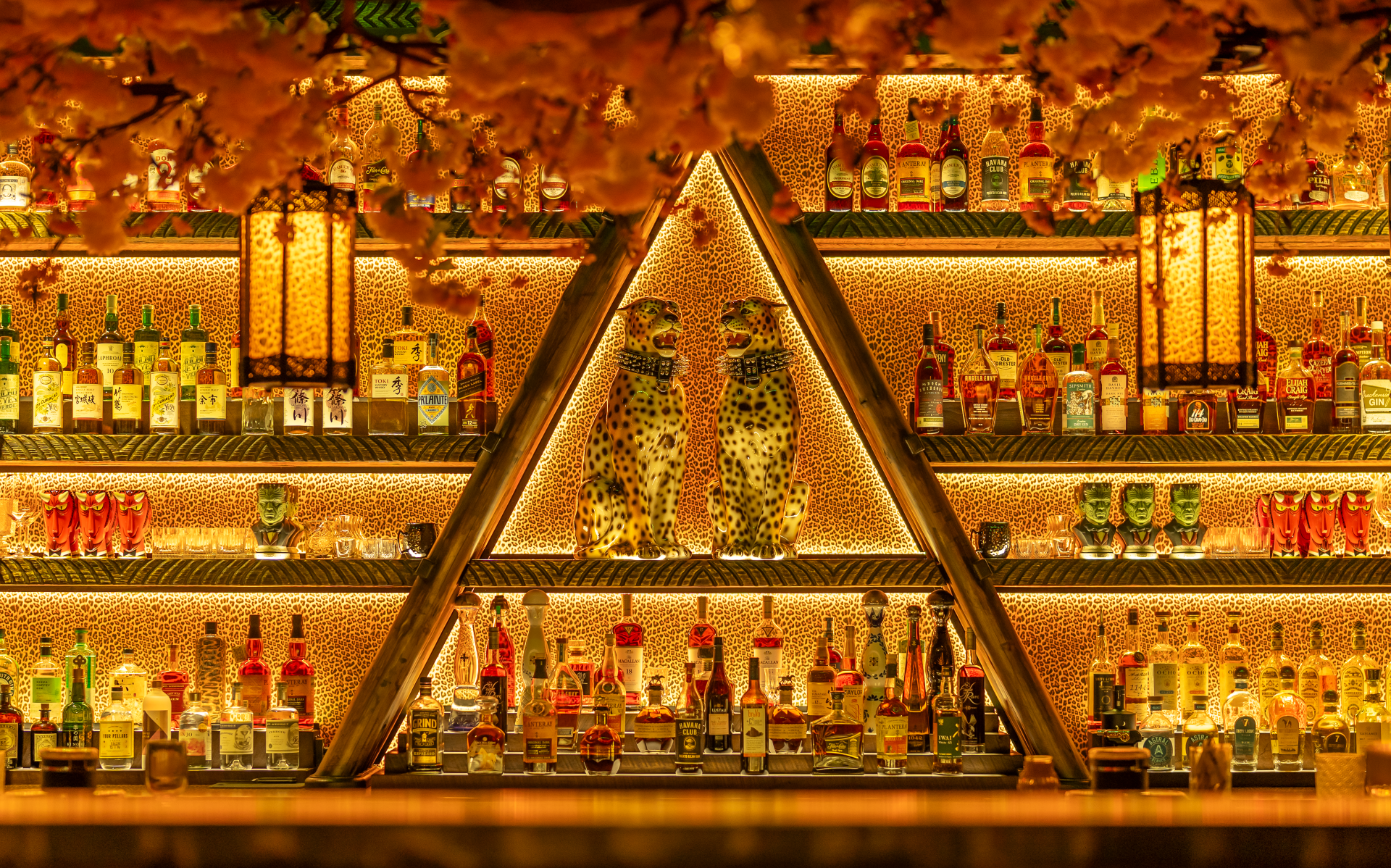 Roka Hula