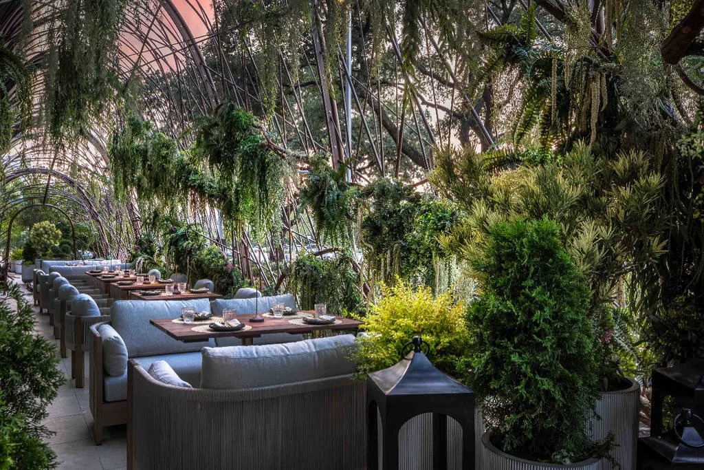 Toca Madera in Dallas