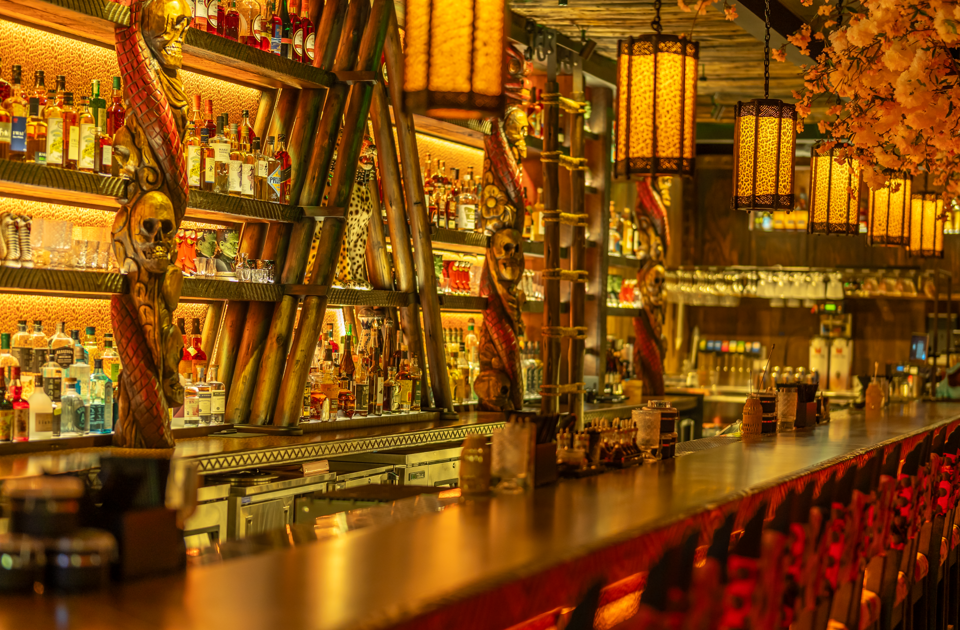 resize_Roka -z-03616.png