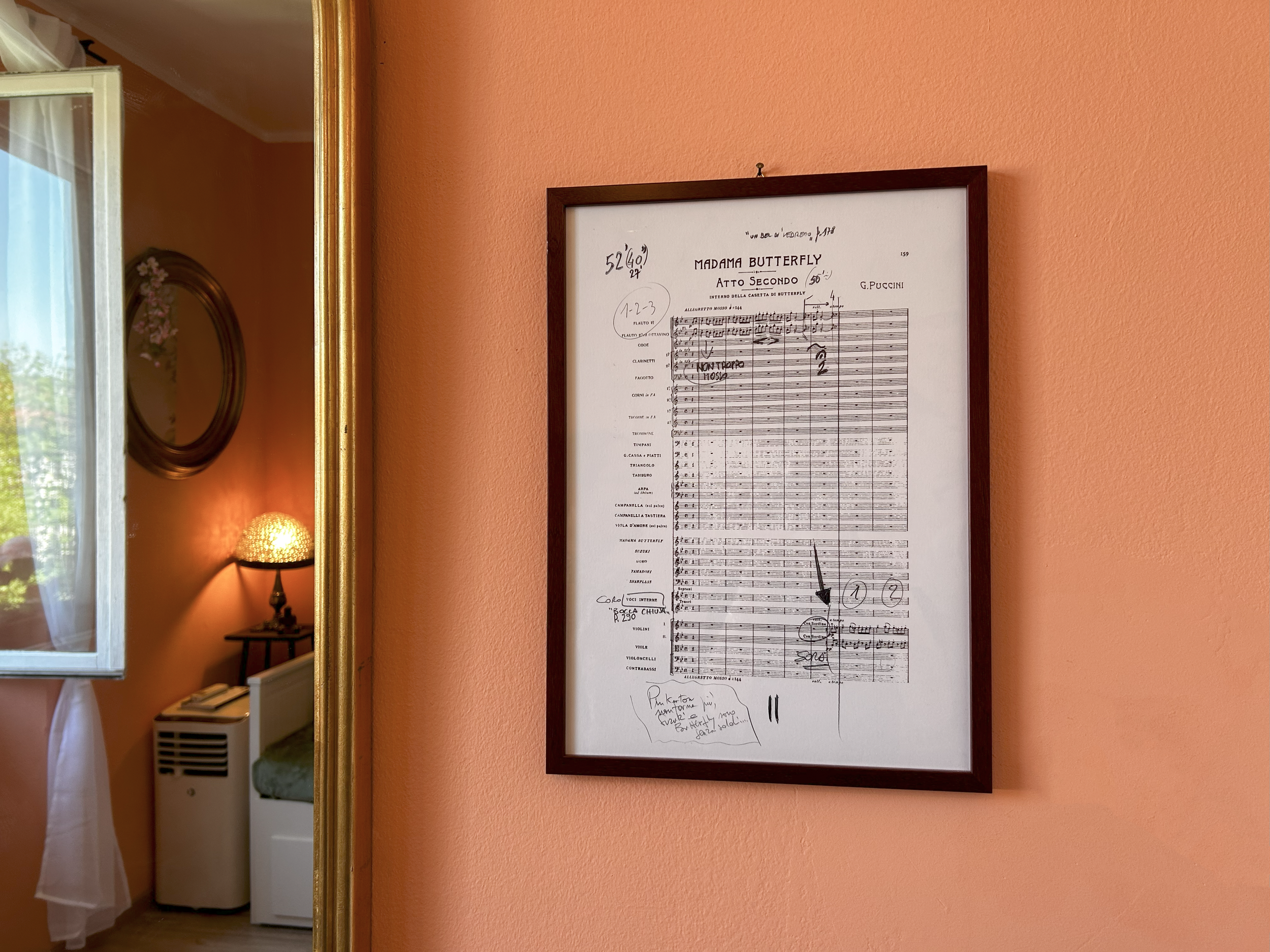 dettaglio madama butterfly.png