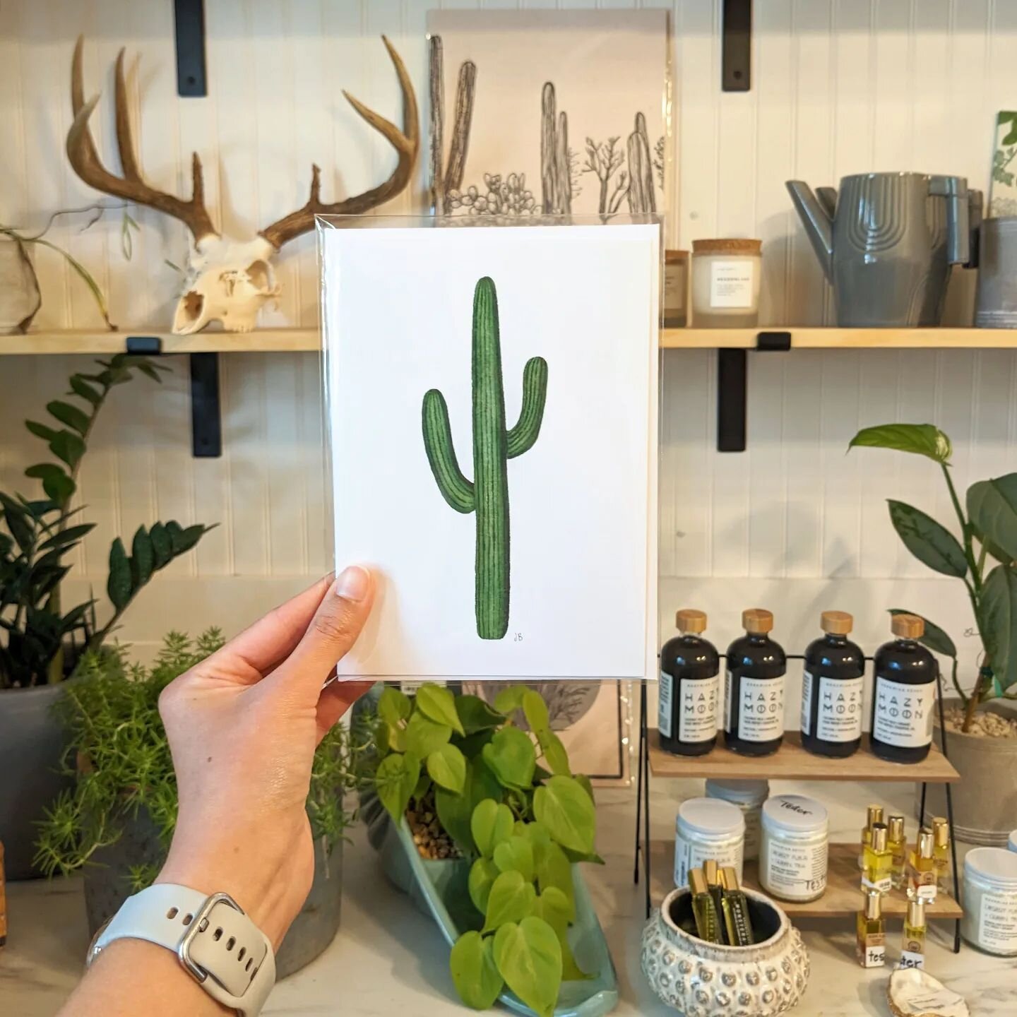 My current favorite card! 😍🌵Pictured here with @stuccoandsucculents gorgeous display at @maksmercantile in #saladotx
.
.
.
.
.
#bellcountytexas #beltontx #saguarocactus #cactusart #cactuslover #cactusartwork #naturelovers #plantlovers #desertvibes 