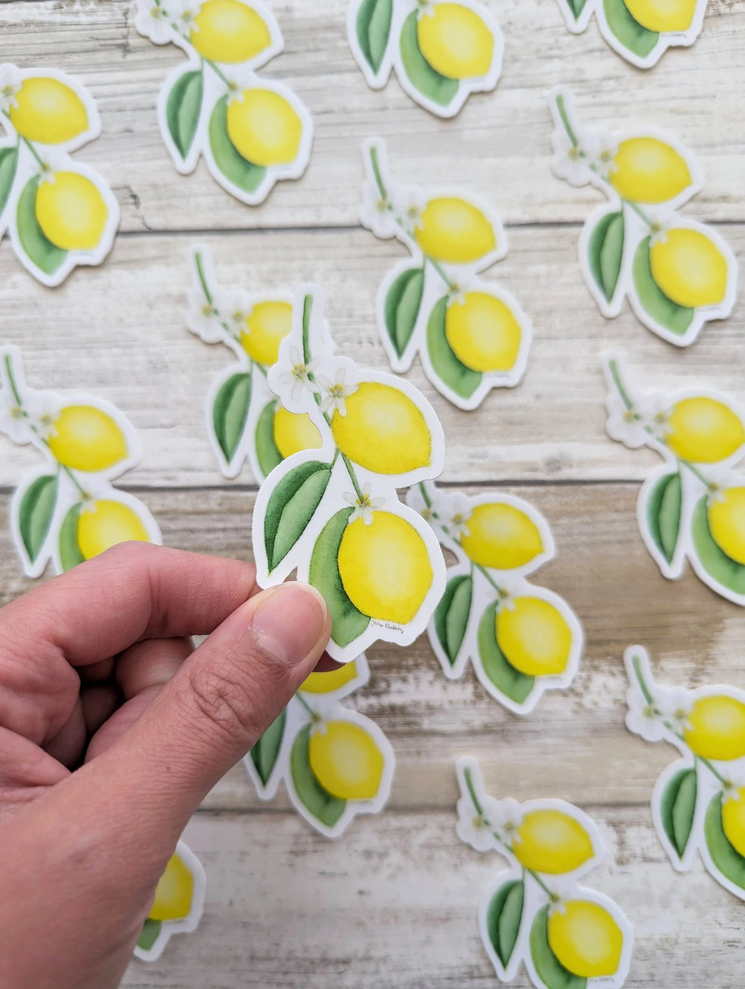 lemon blossom stickers.jpg