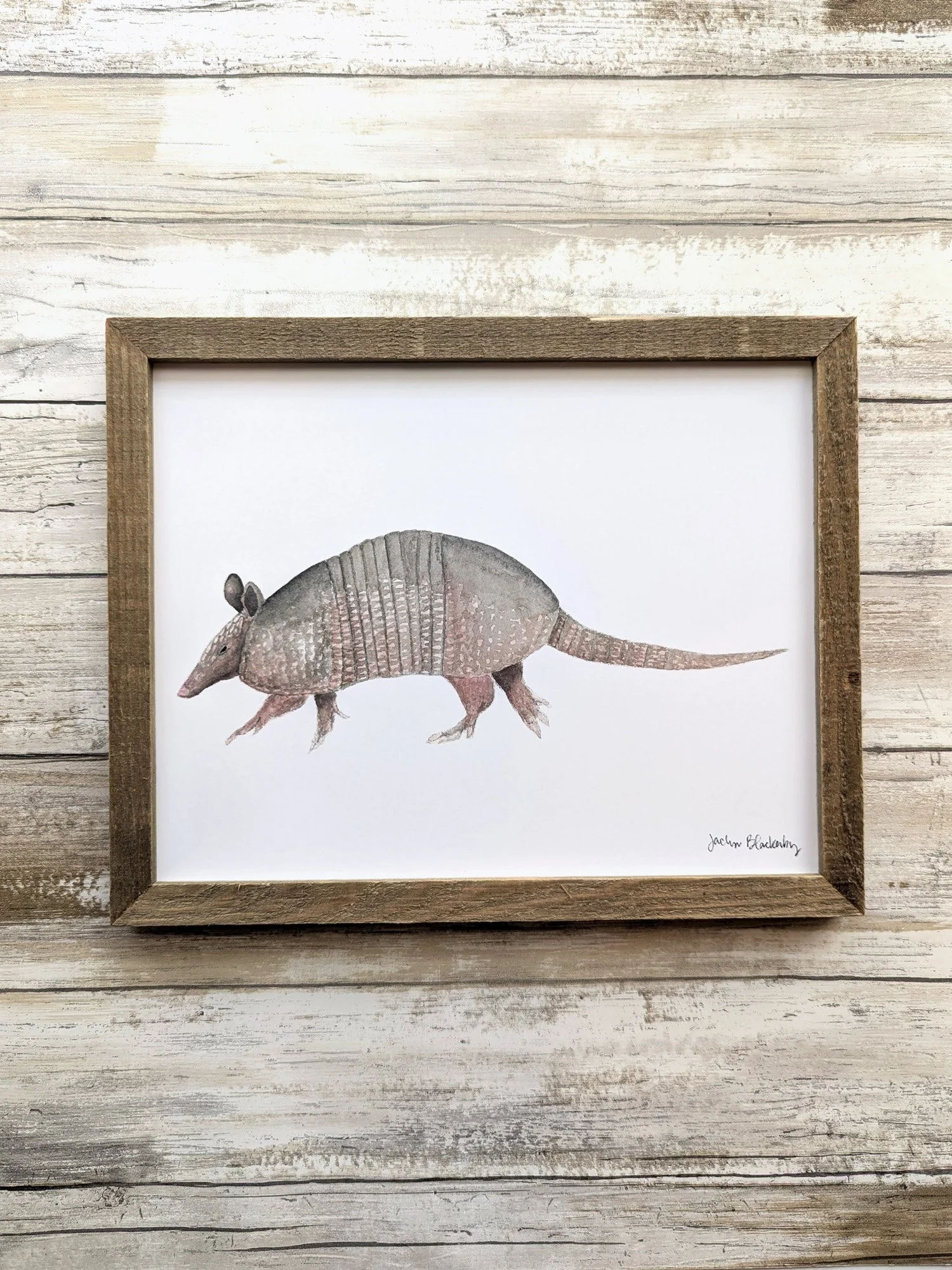 armadillo framed.jpg