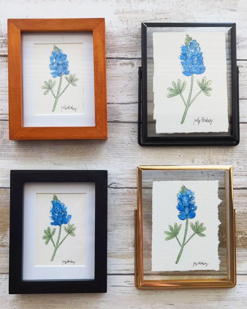 bluebonnet framed minis.jpg