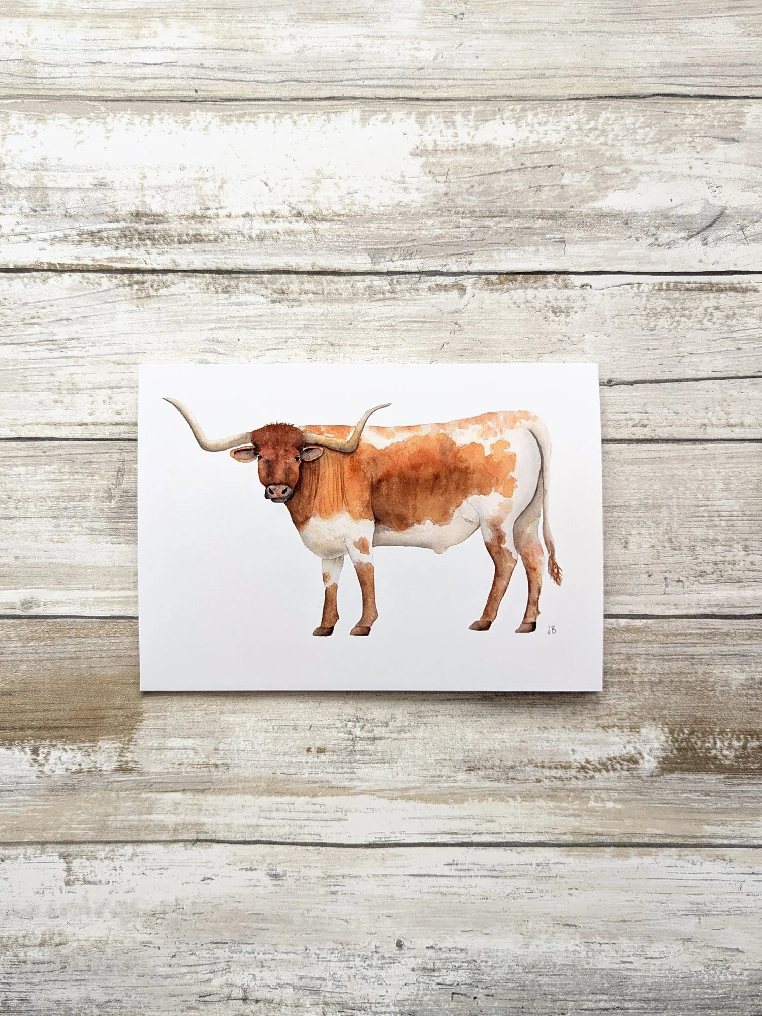 longhorn card.jpg