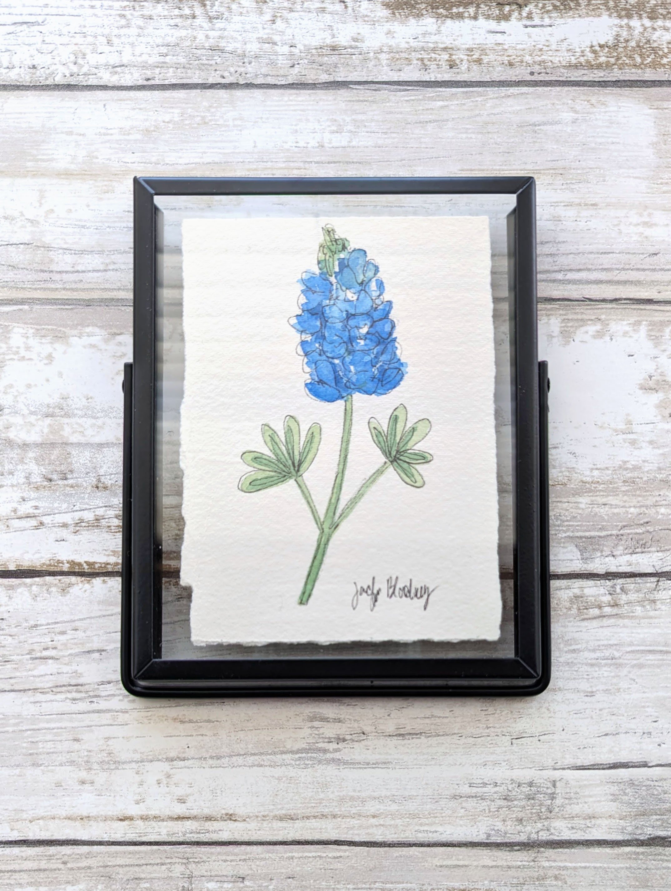 bluebonnet mini black float frame.jpg