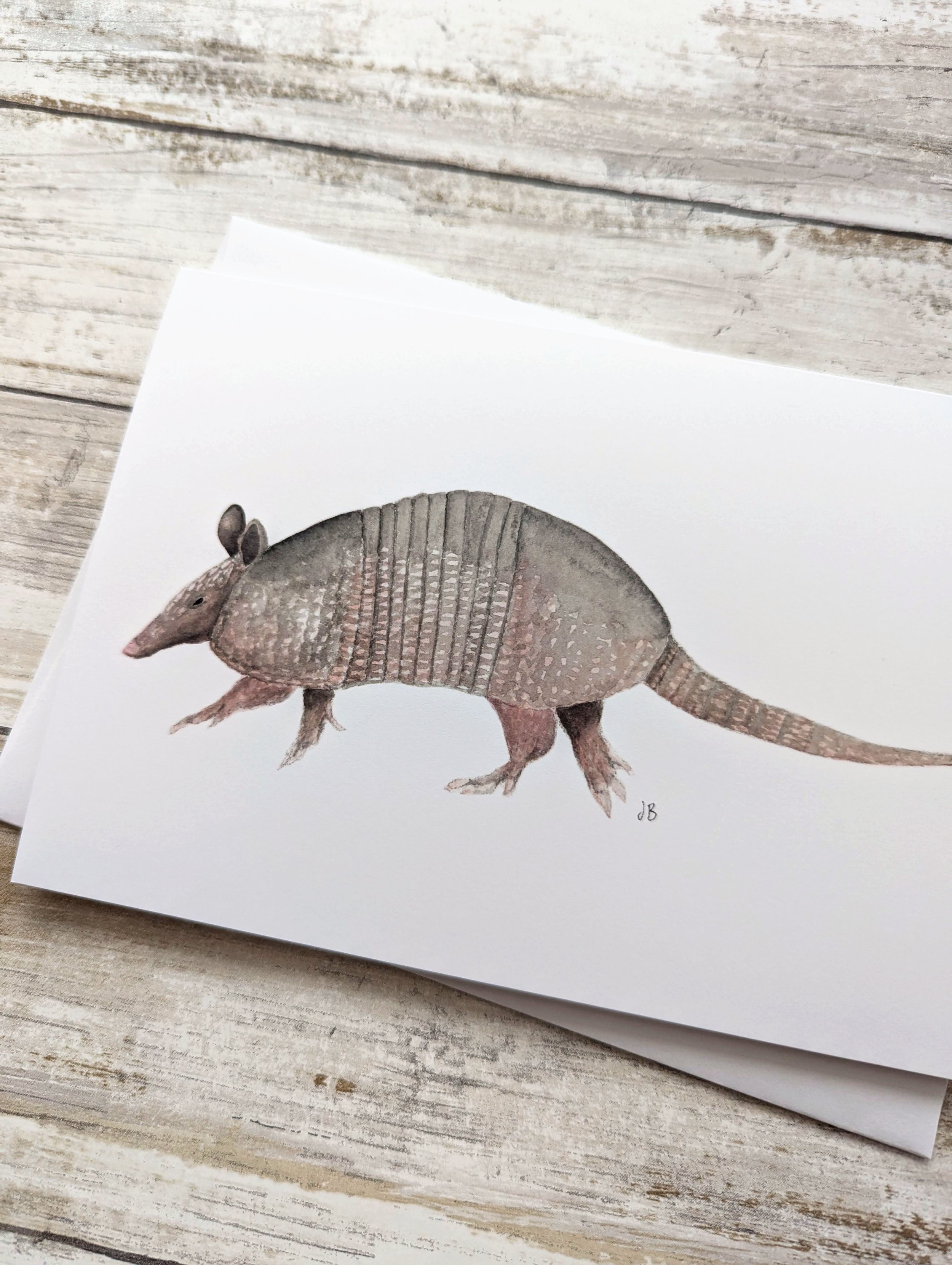 armadillo card detail.jpg