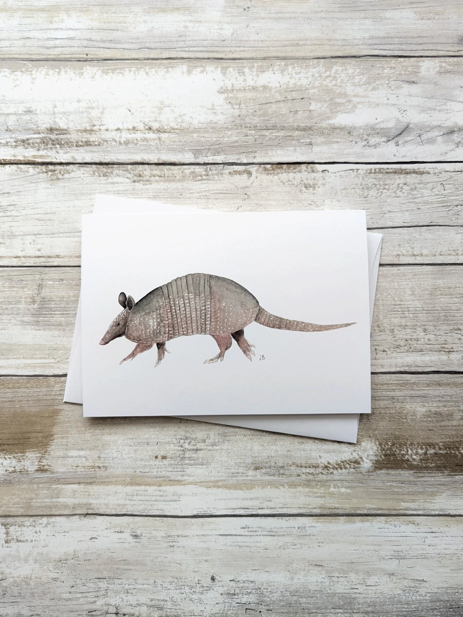 armadillo watercolor card.jpg