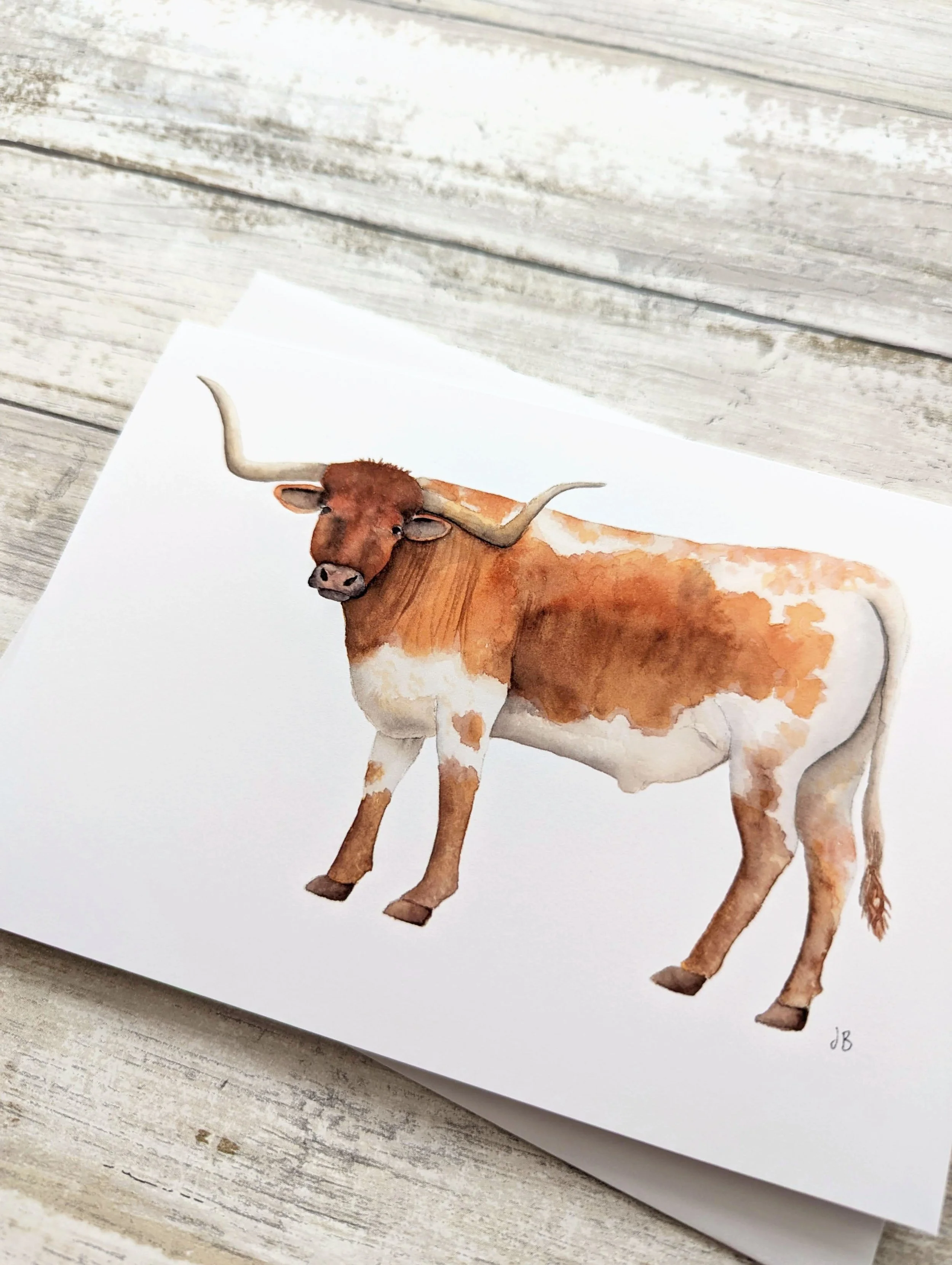 longhorn detail card.jpg