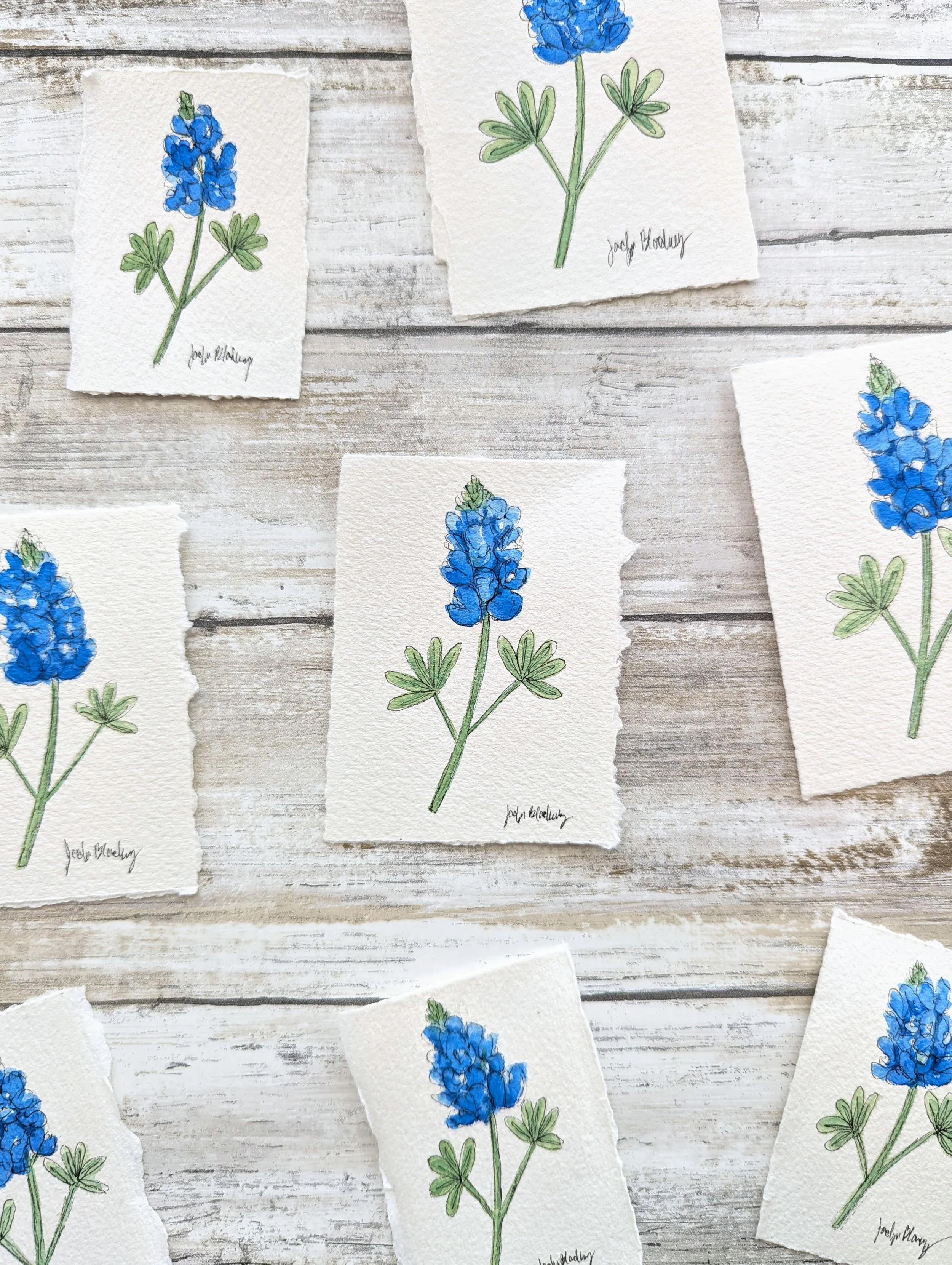 bluebonnet mini watercolors.jpg