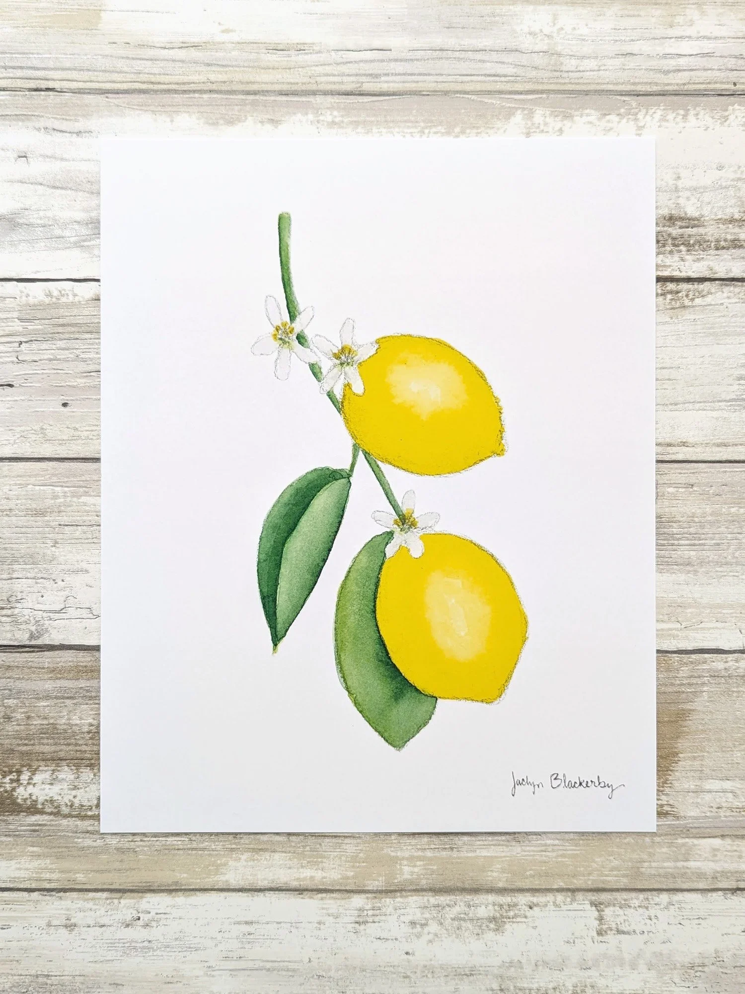 lemon blossom print.jpg