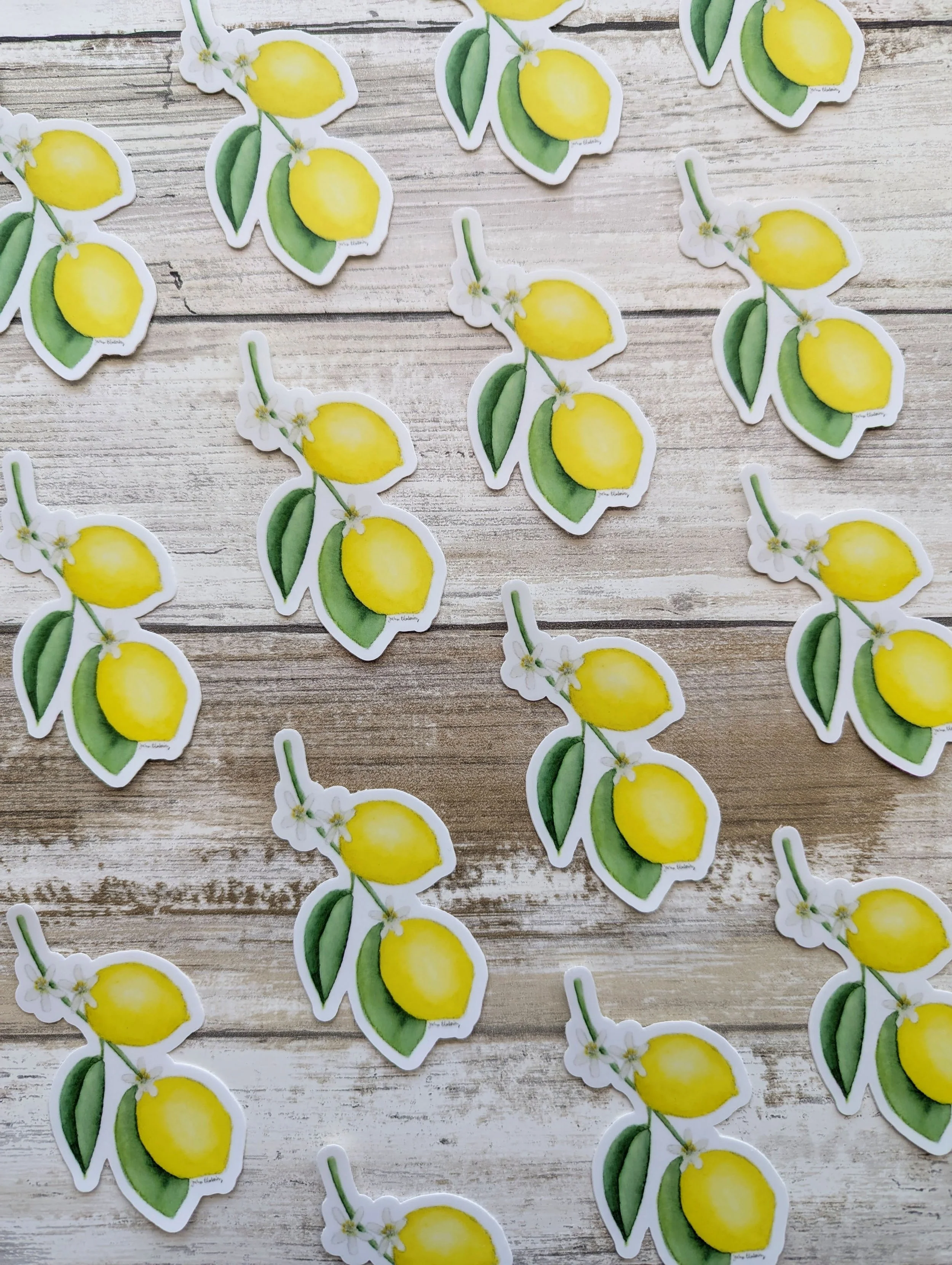 lemon stickers.jpg