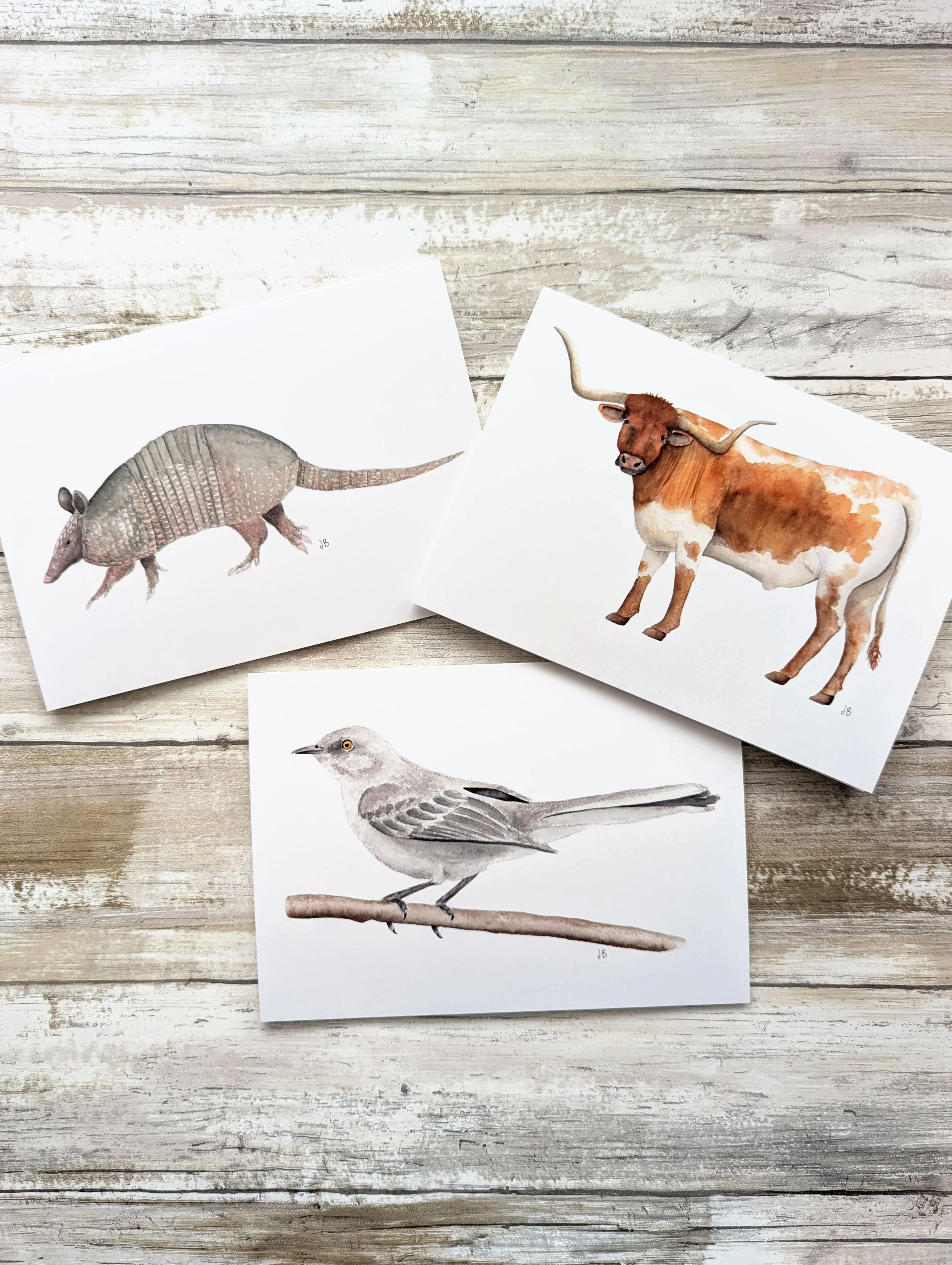texas animal cards.jpg (Copy)