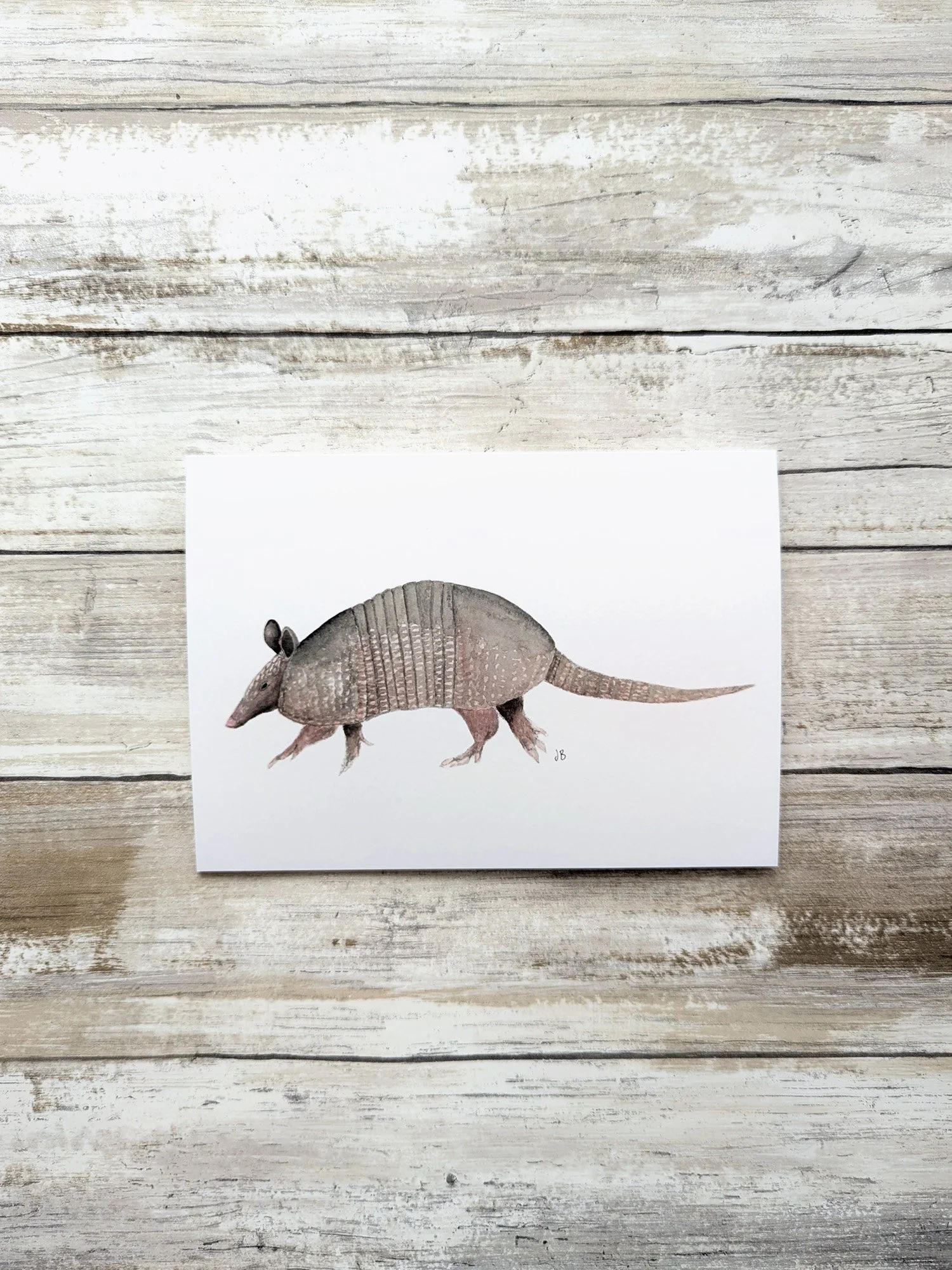 armadillo card.jpg