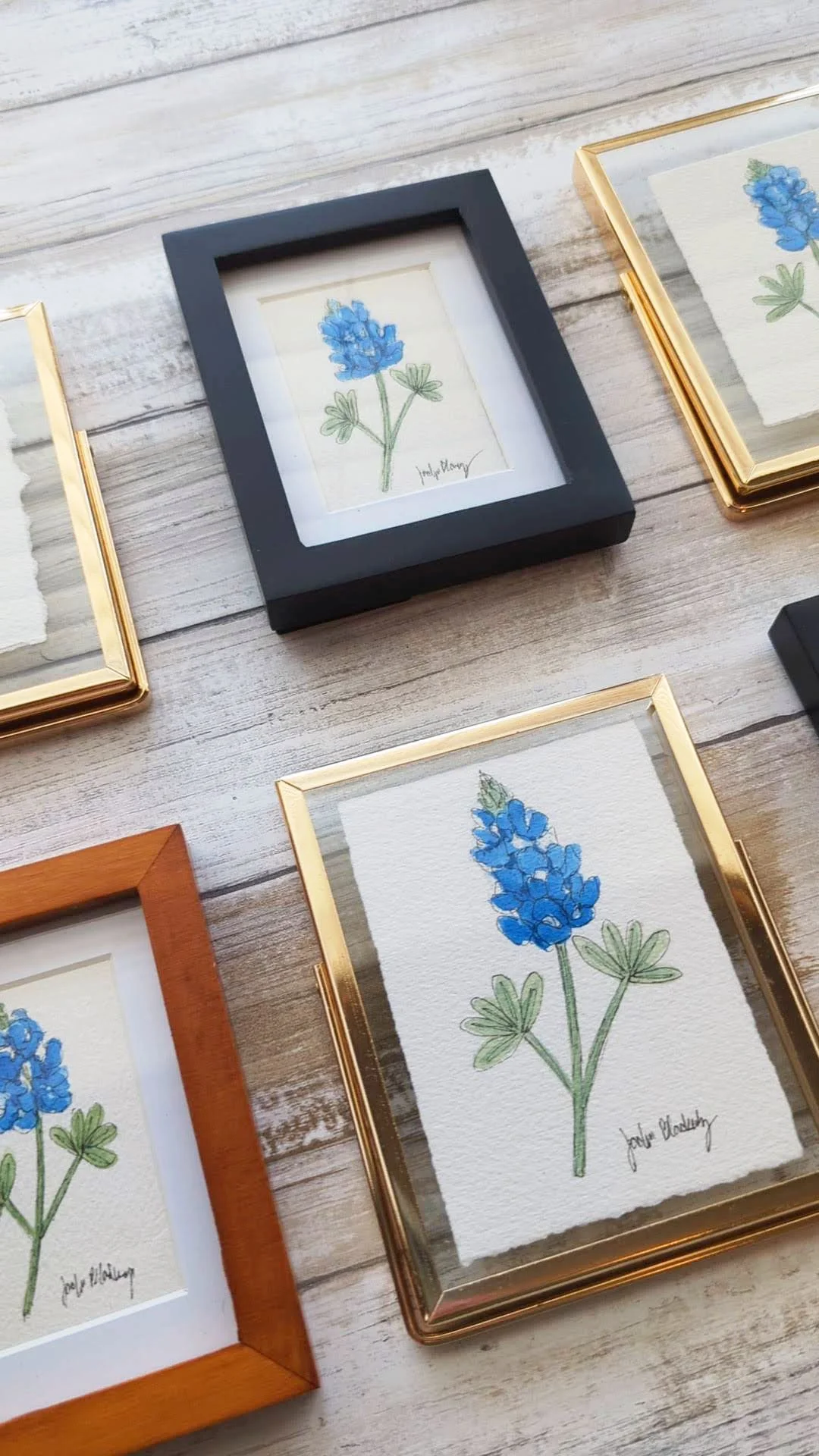 mini bluebonnets frames.jpg