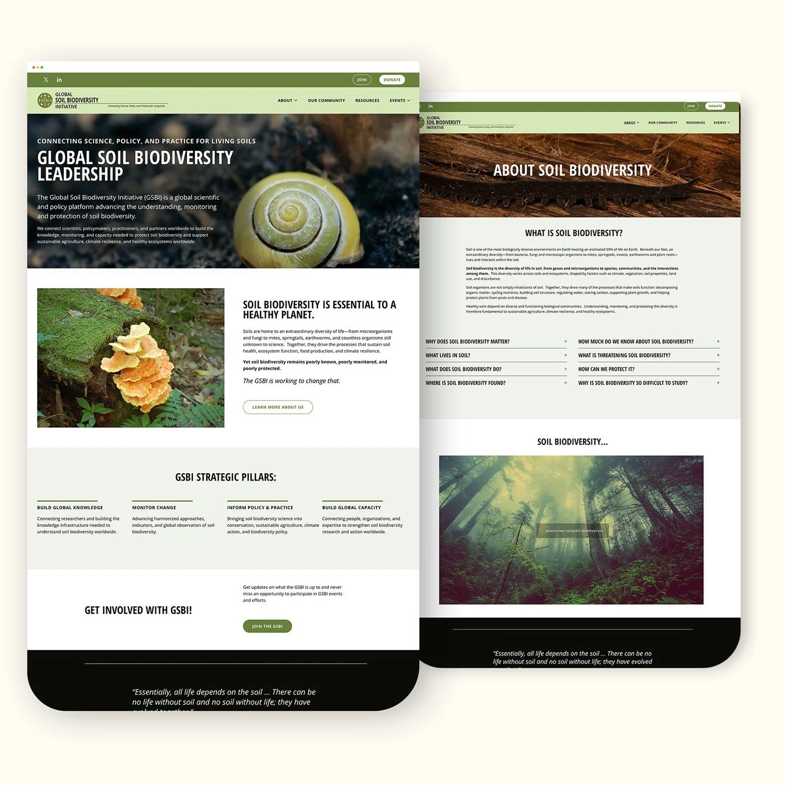 Global Soil Biodiversity
