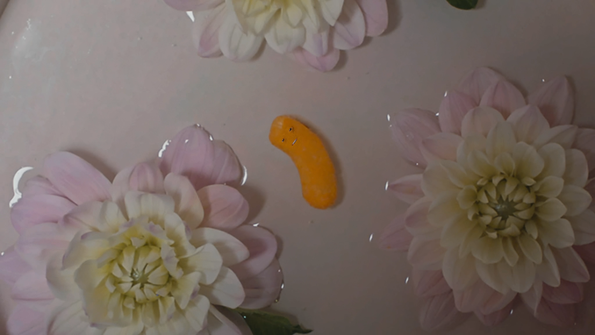 8.png