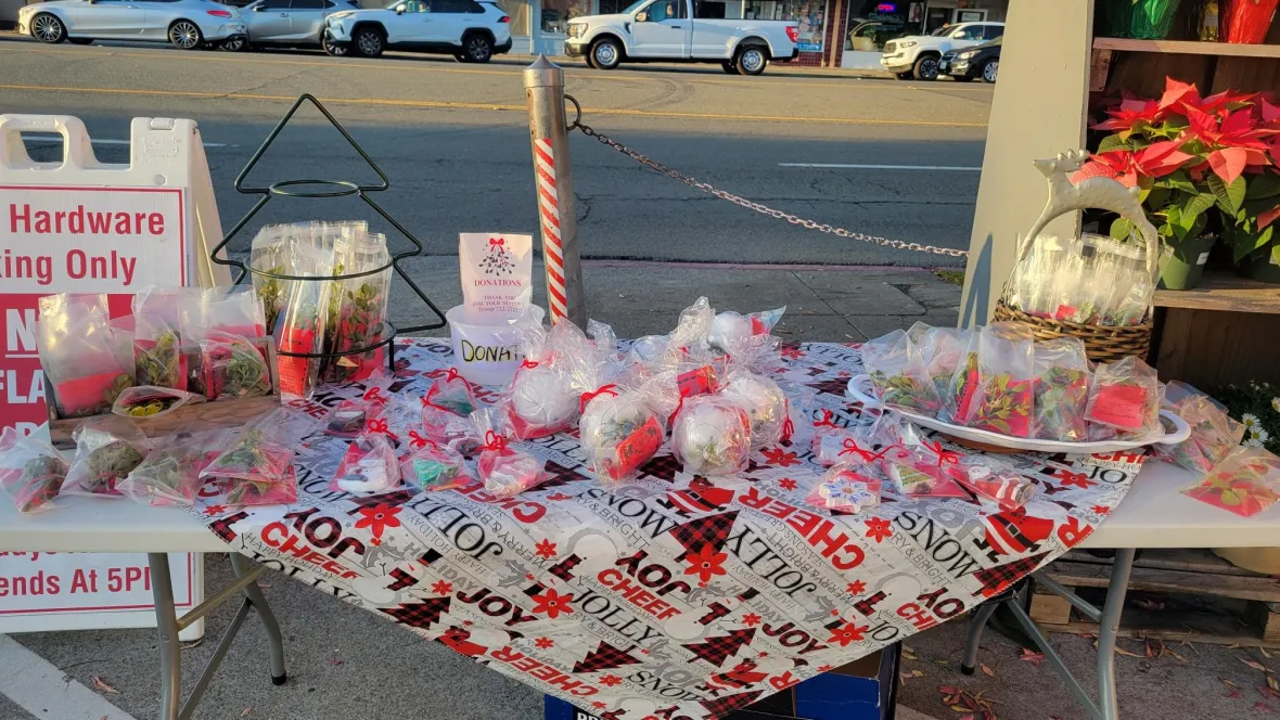 Mistletoe Sales for the Boy Scouts