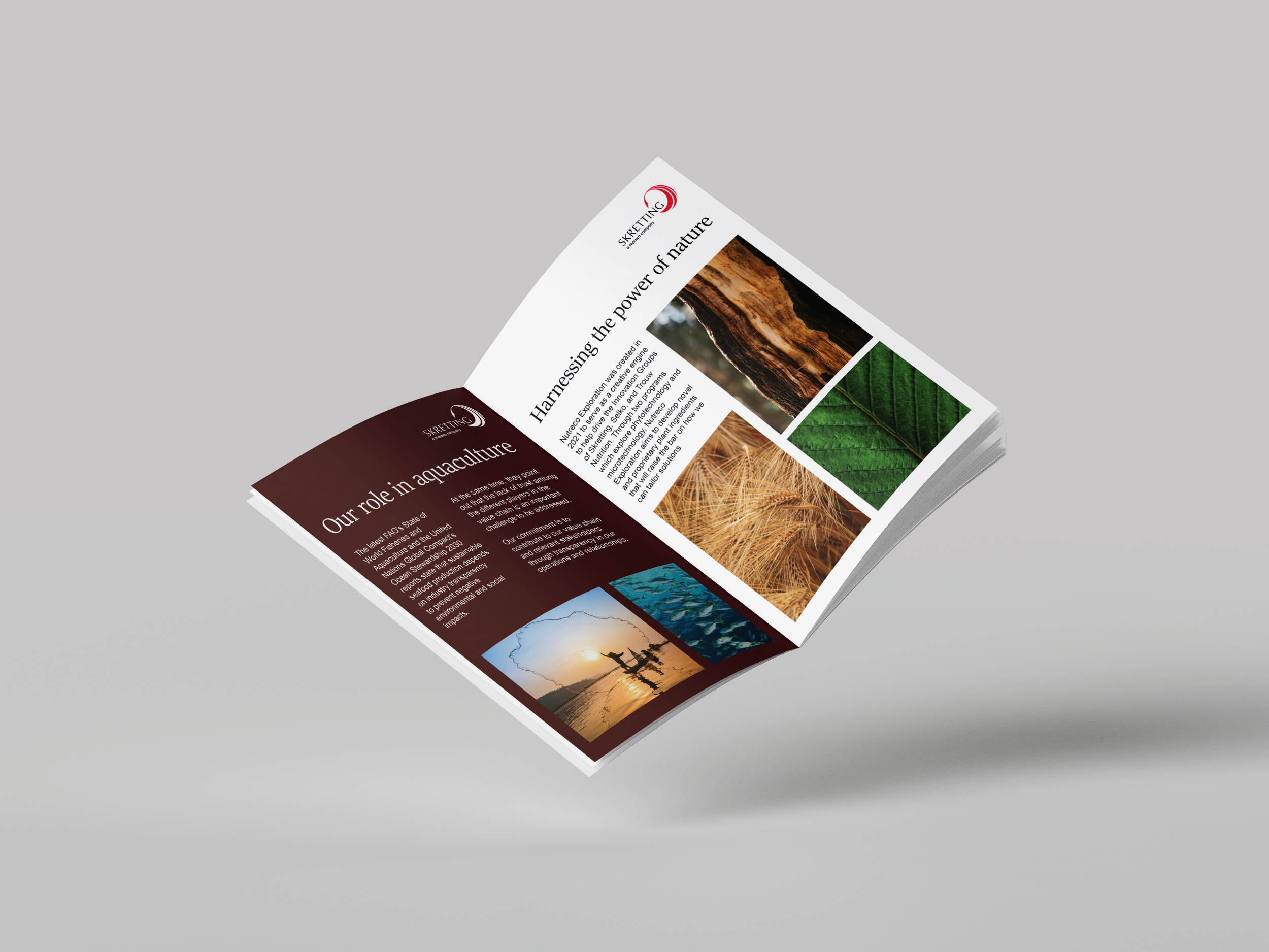 Free_A4_Floating_Brochure_Mockup_4.png